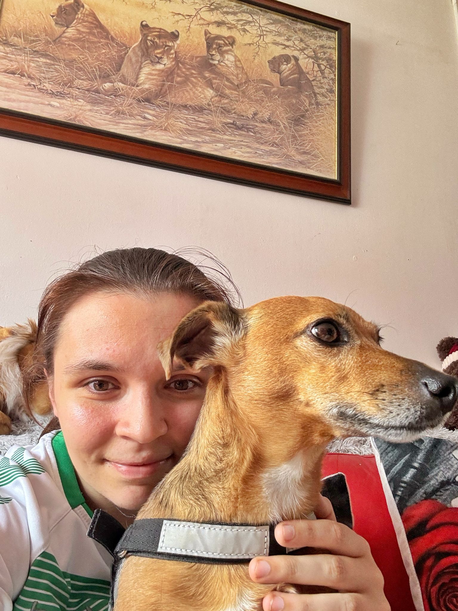 image-6