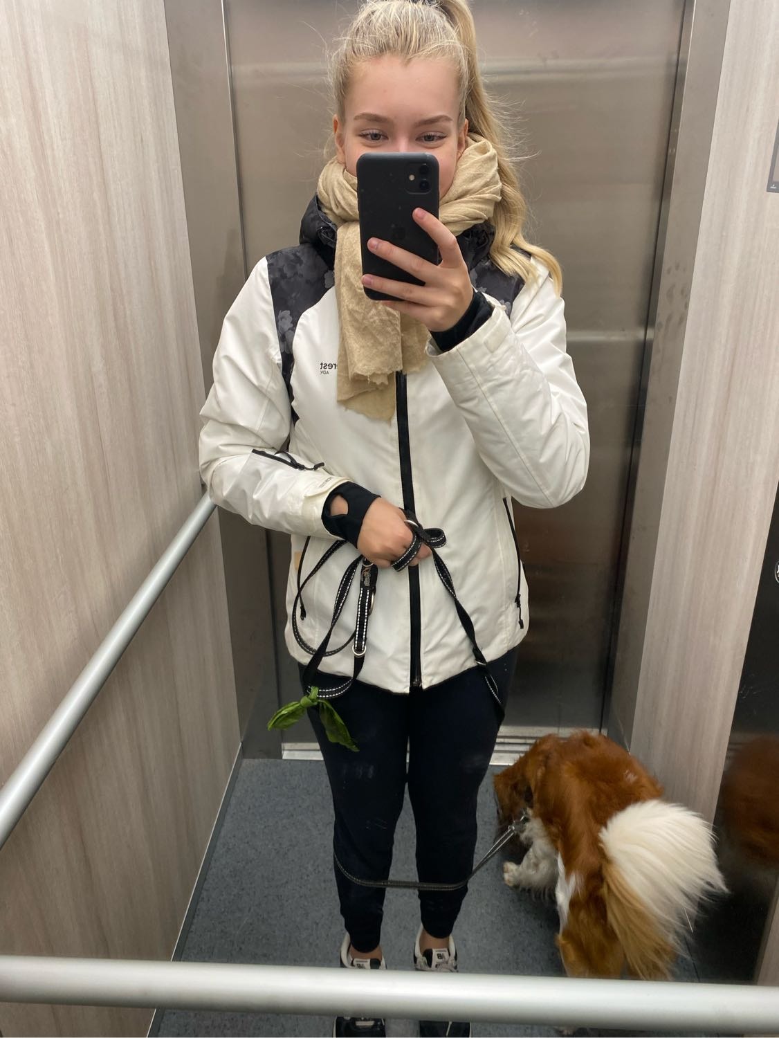 image-3