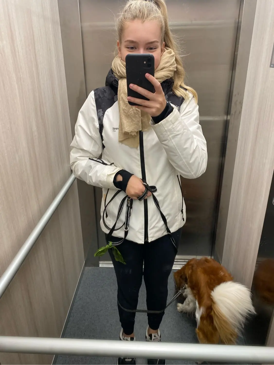 image-3