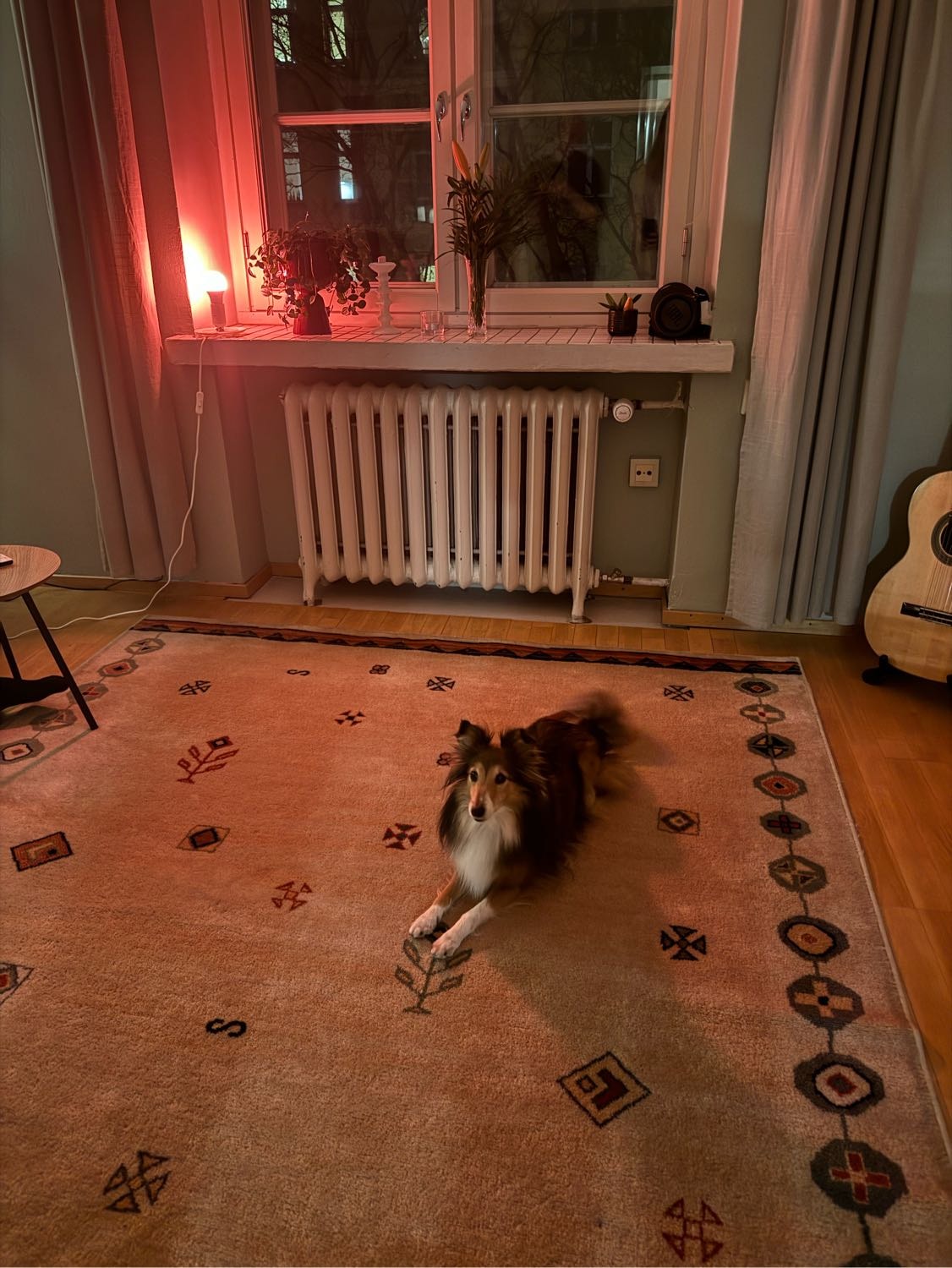 image-7