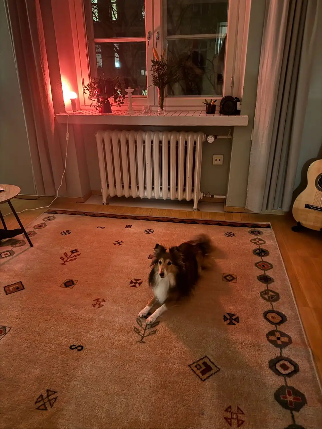 image-7