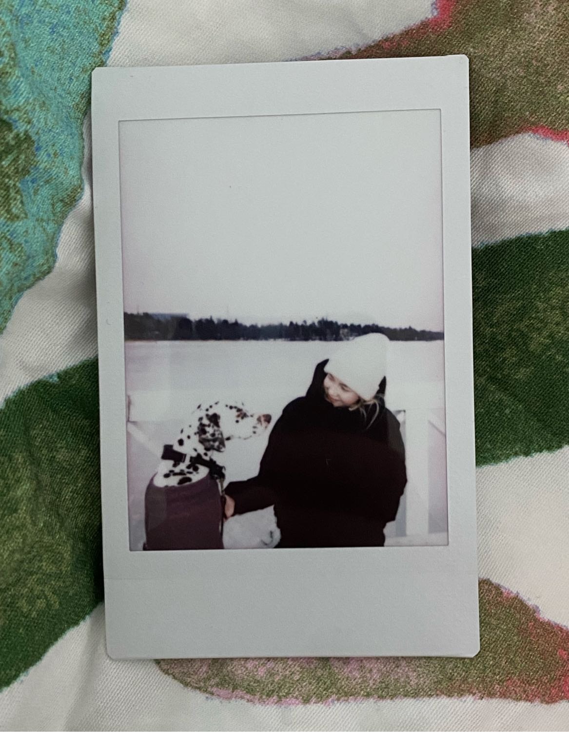 image-6