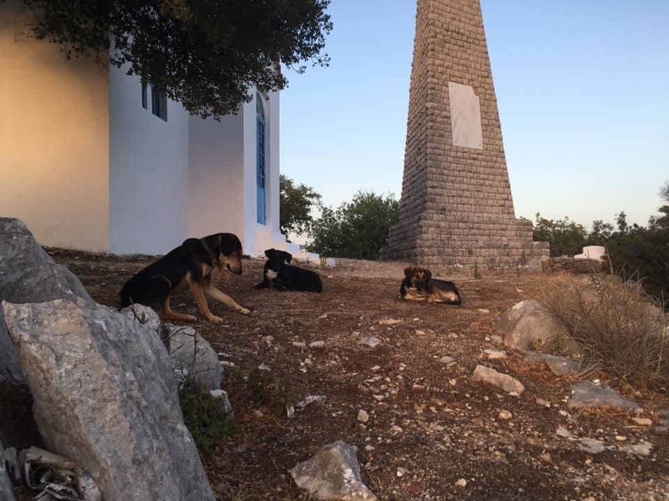 image-4
