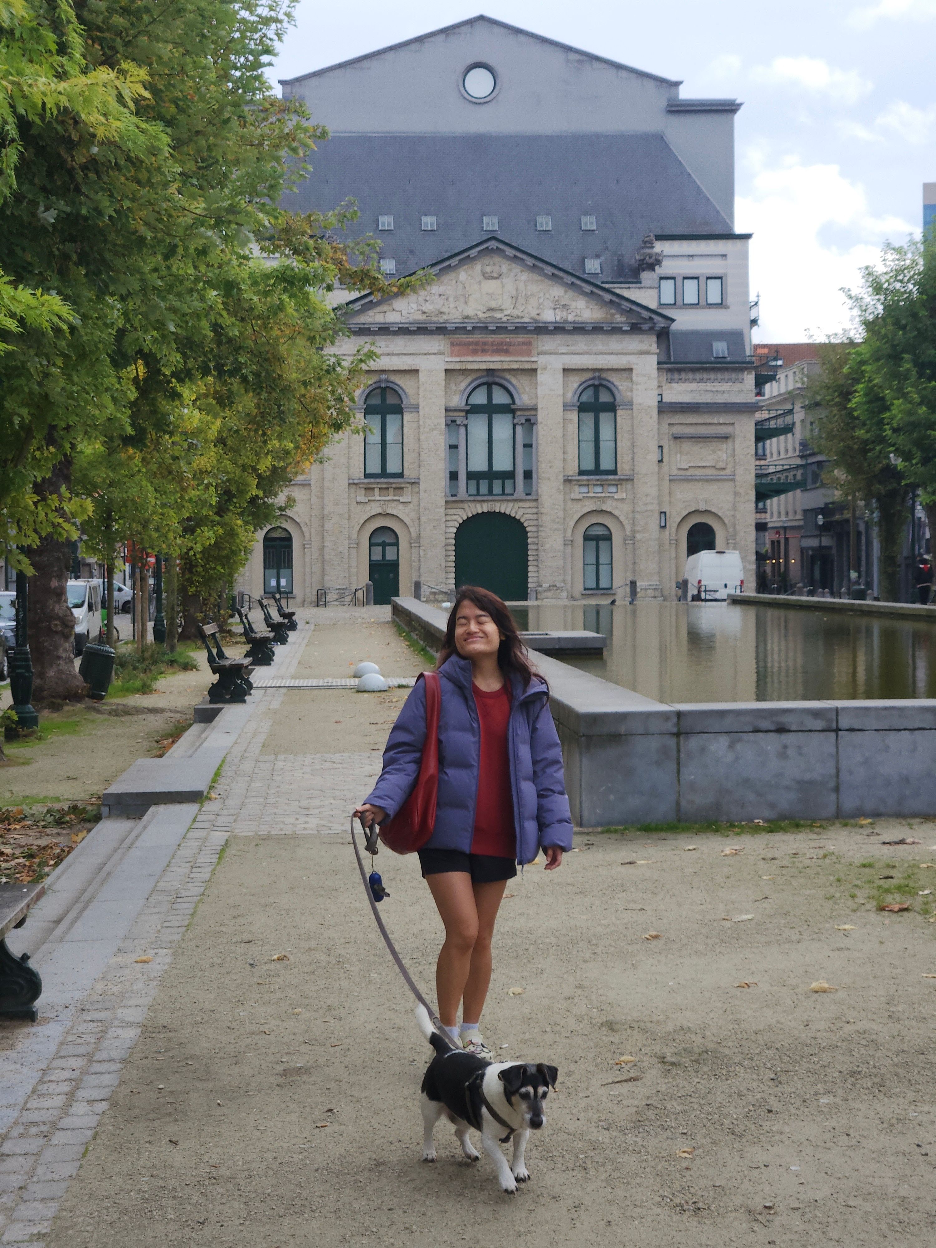 image-8