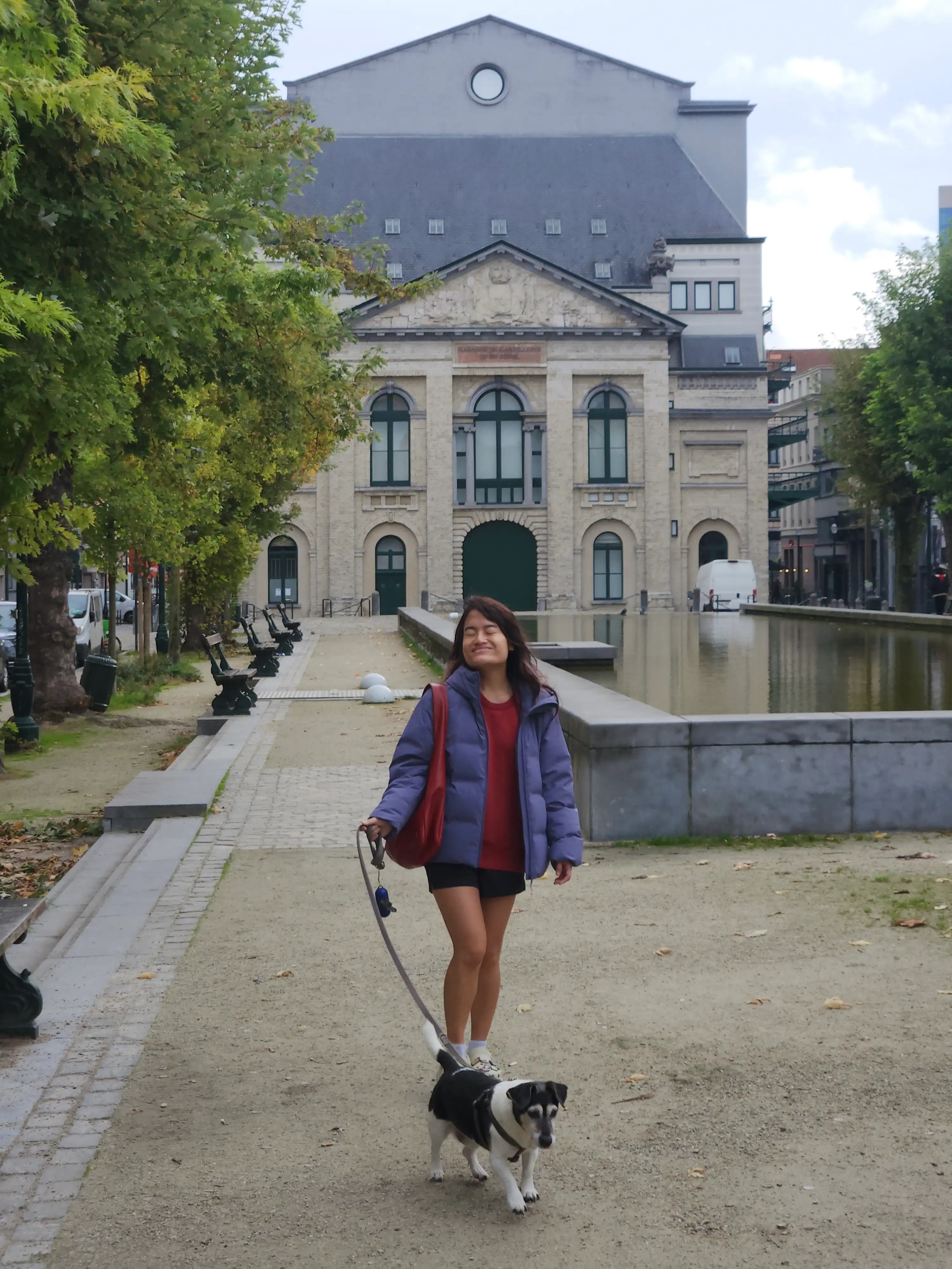 image-8