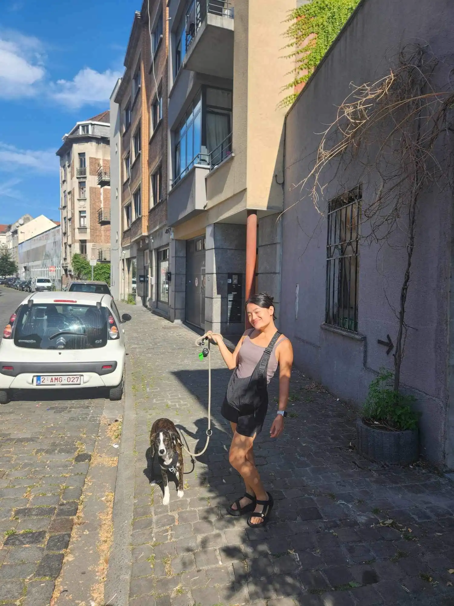 image-11