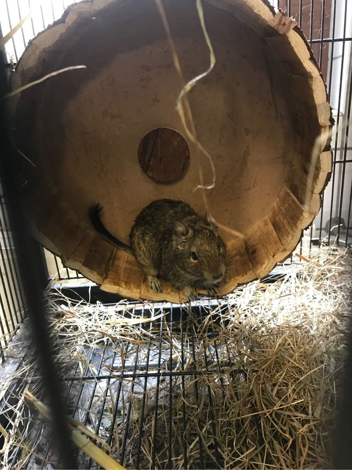 image-6
