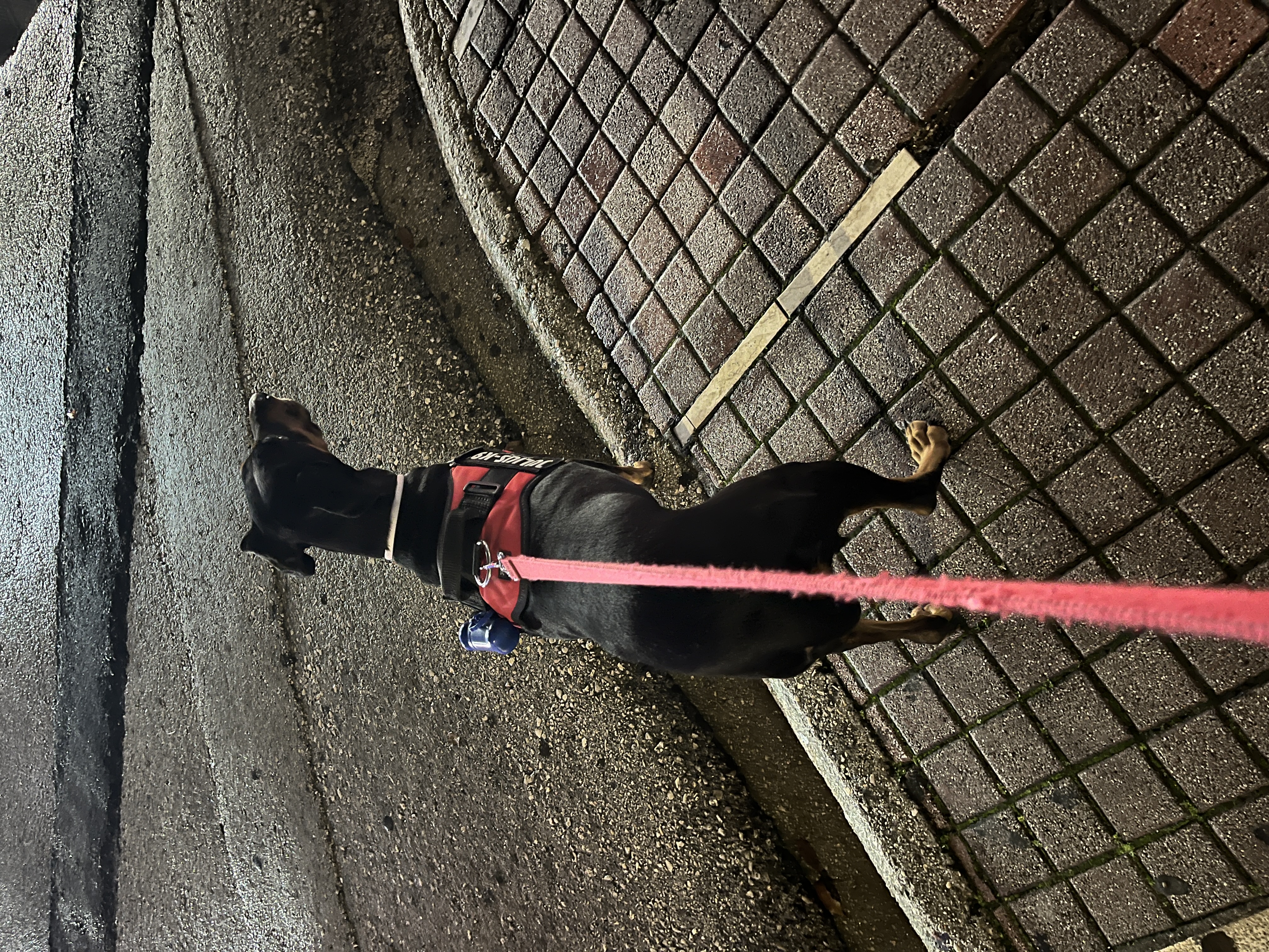 image-6