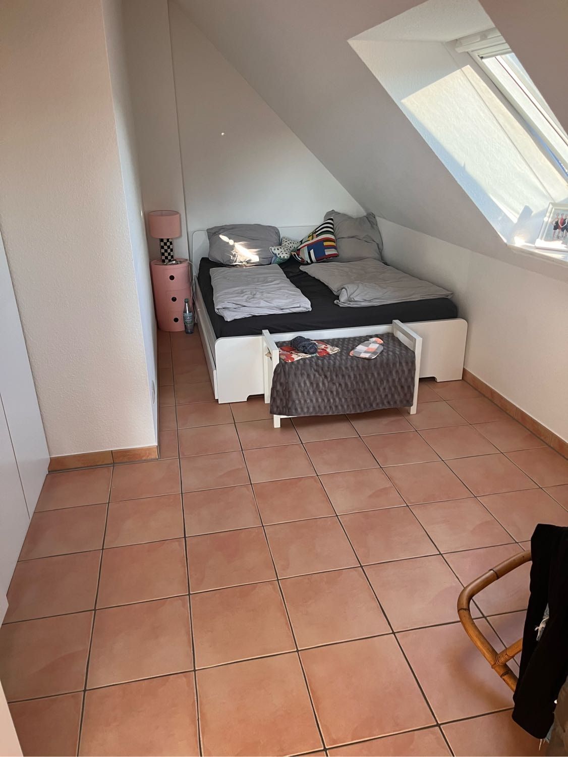 image-7