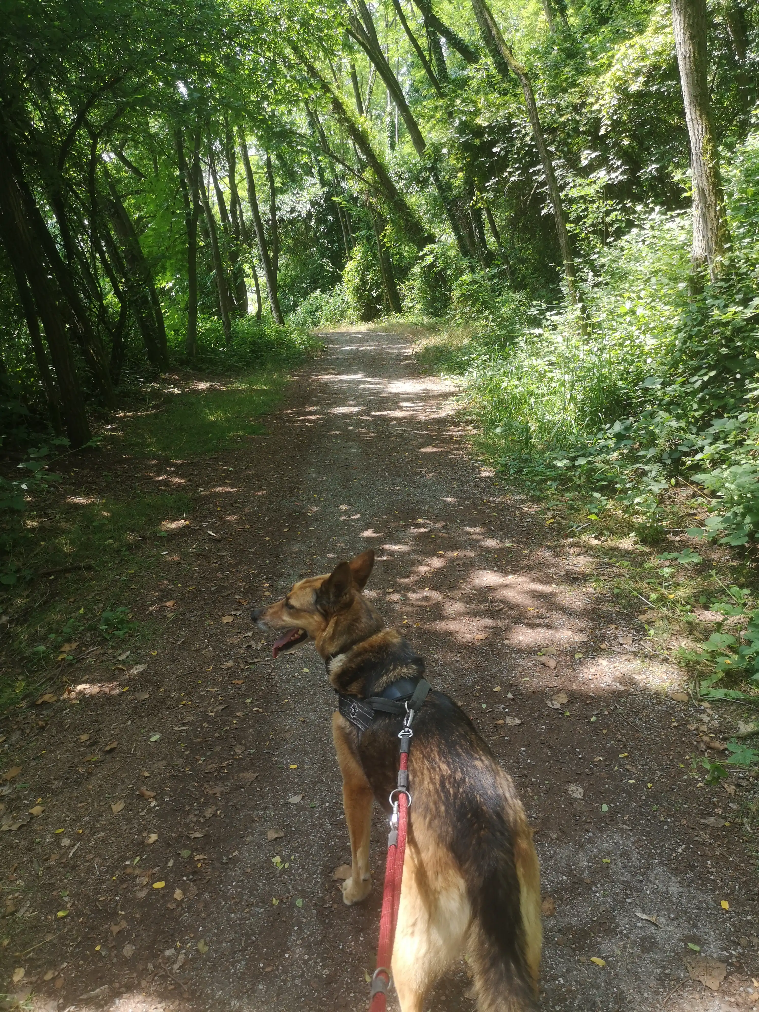 image-9