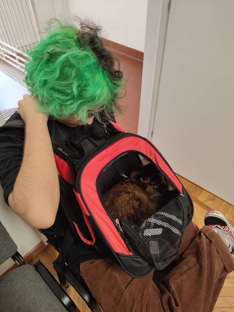 image-7