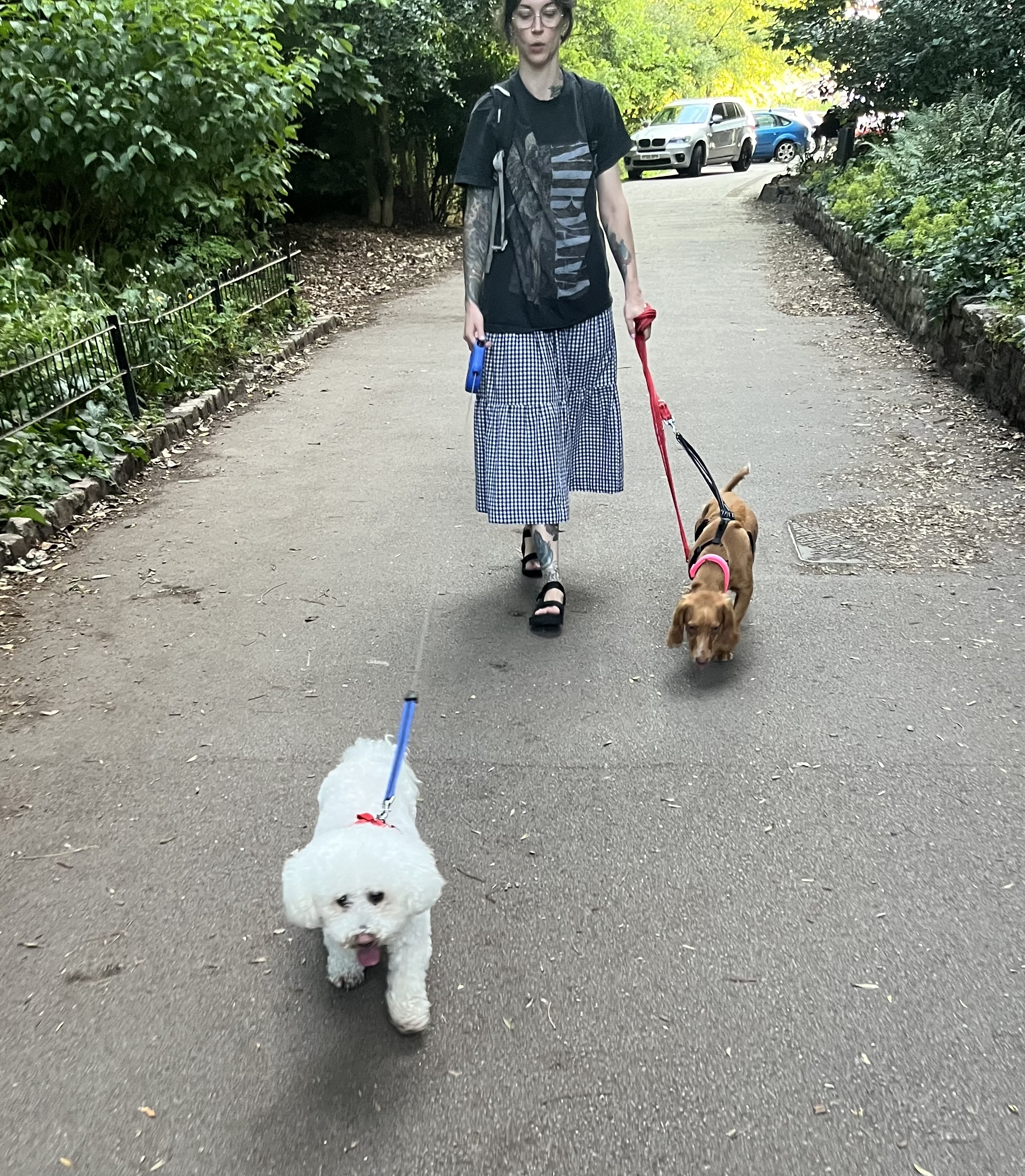 image-18
