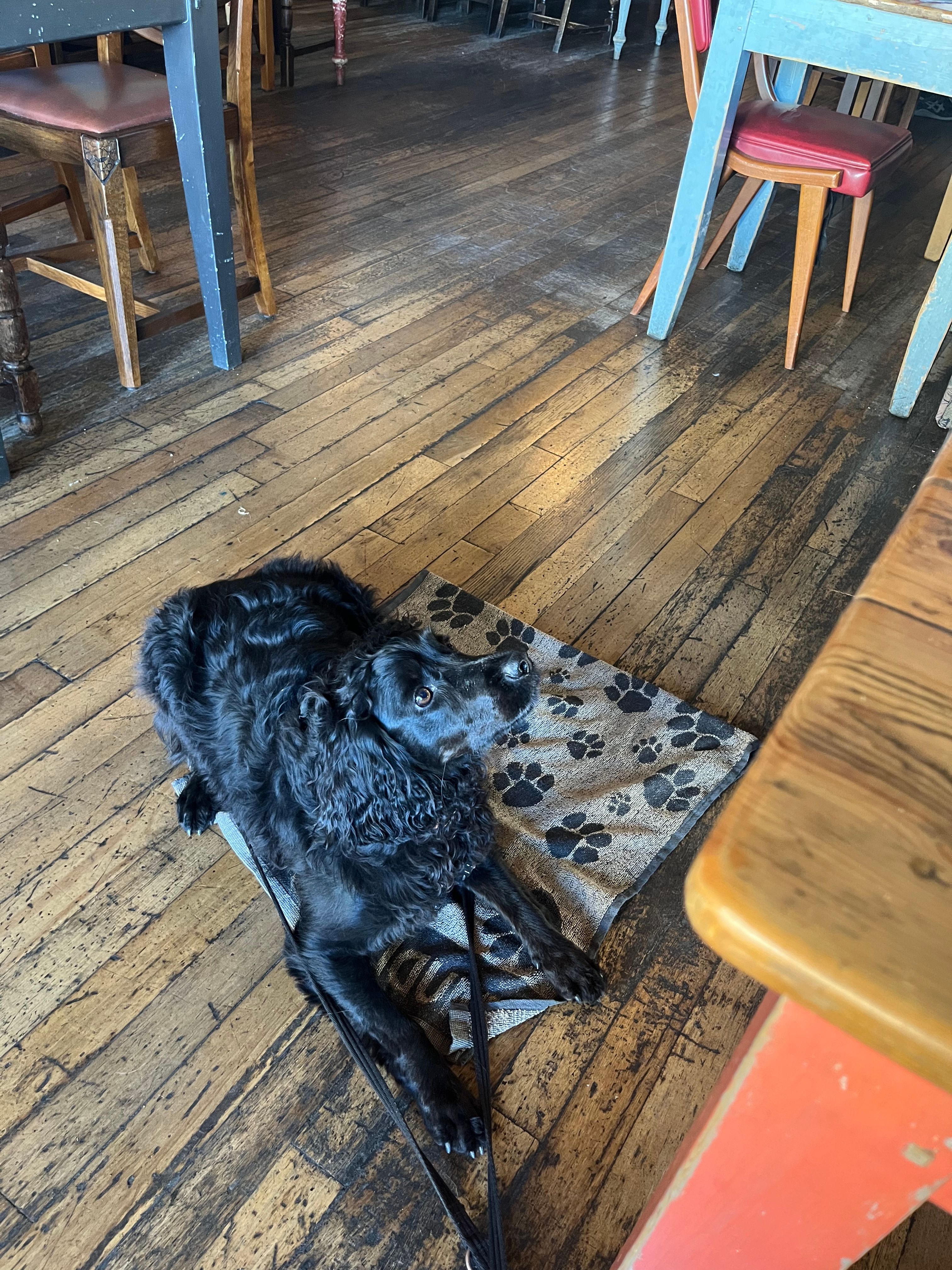 image-12