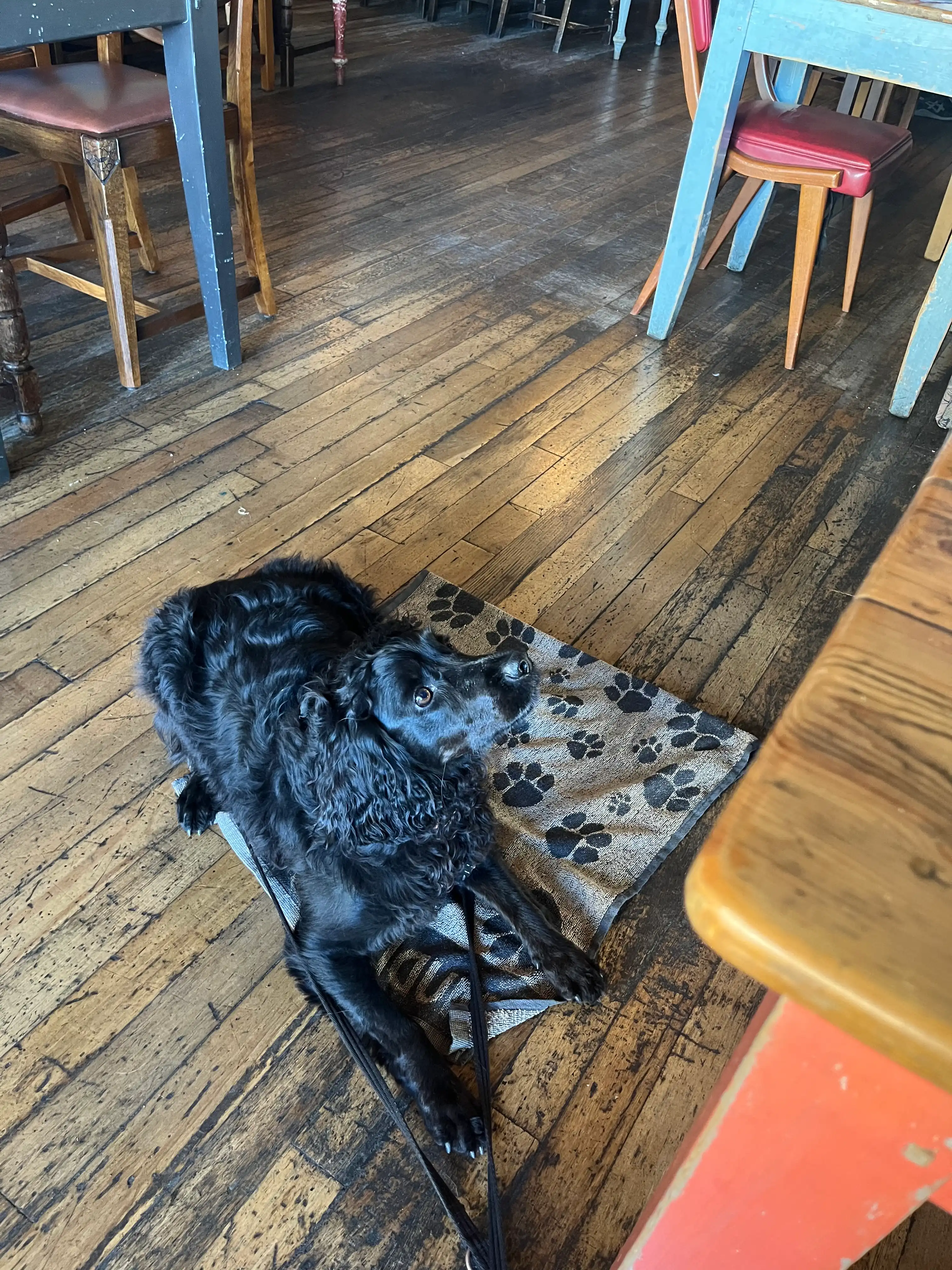 image-12