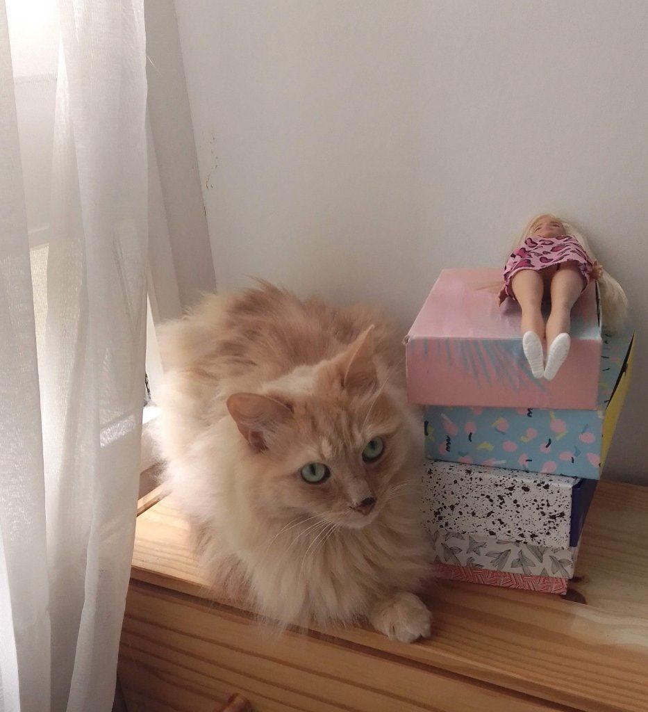 image-5