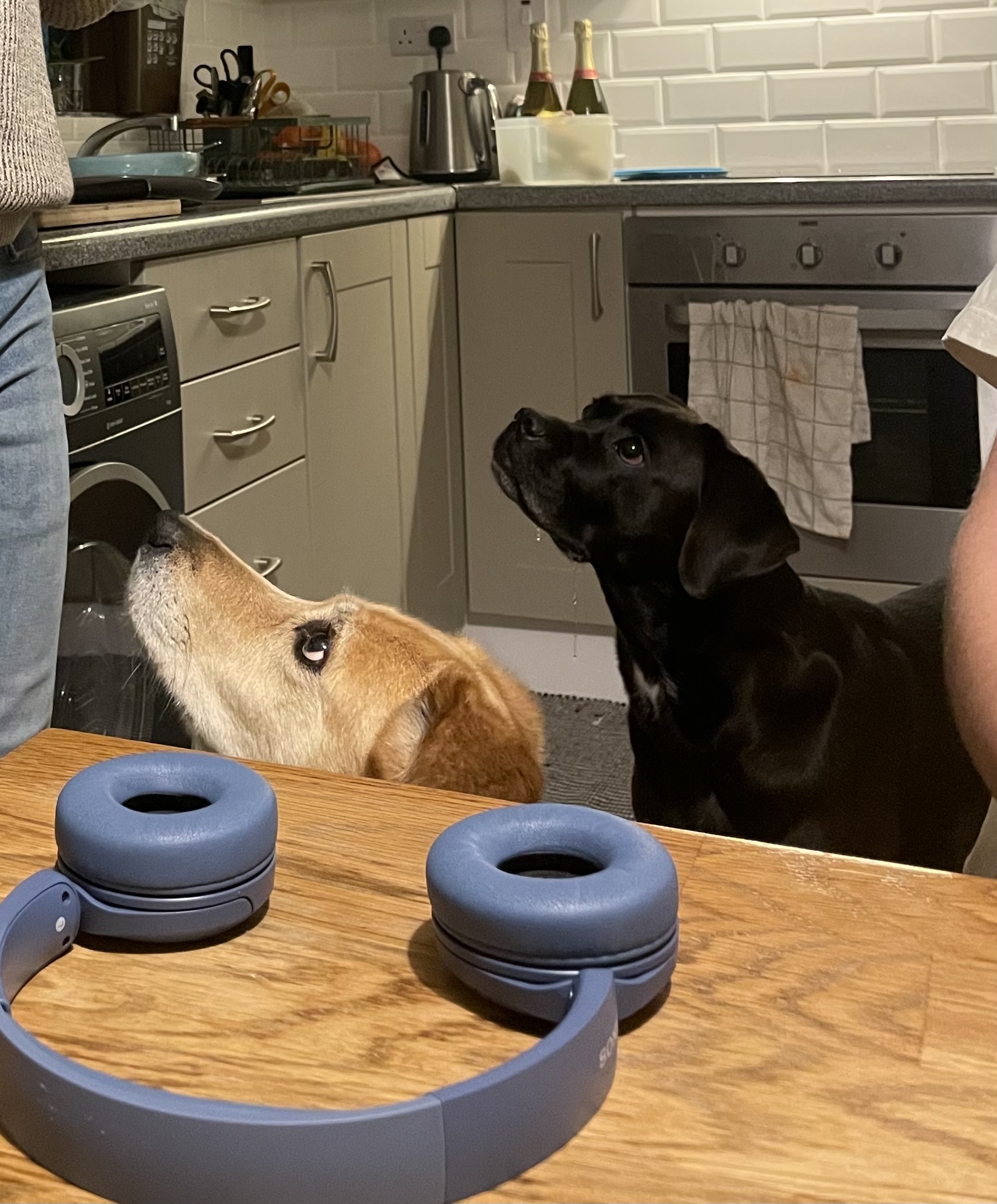 image-18
