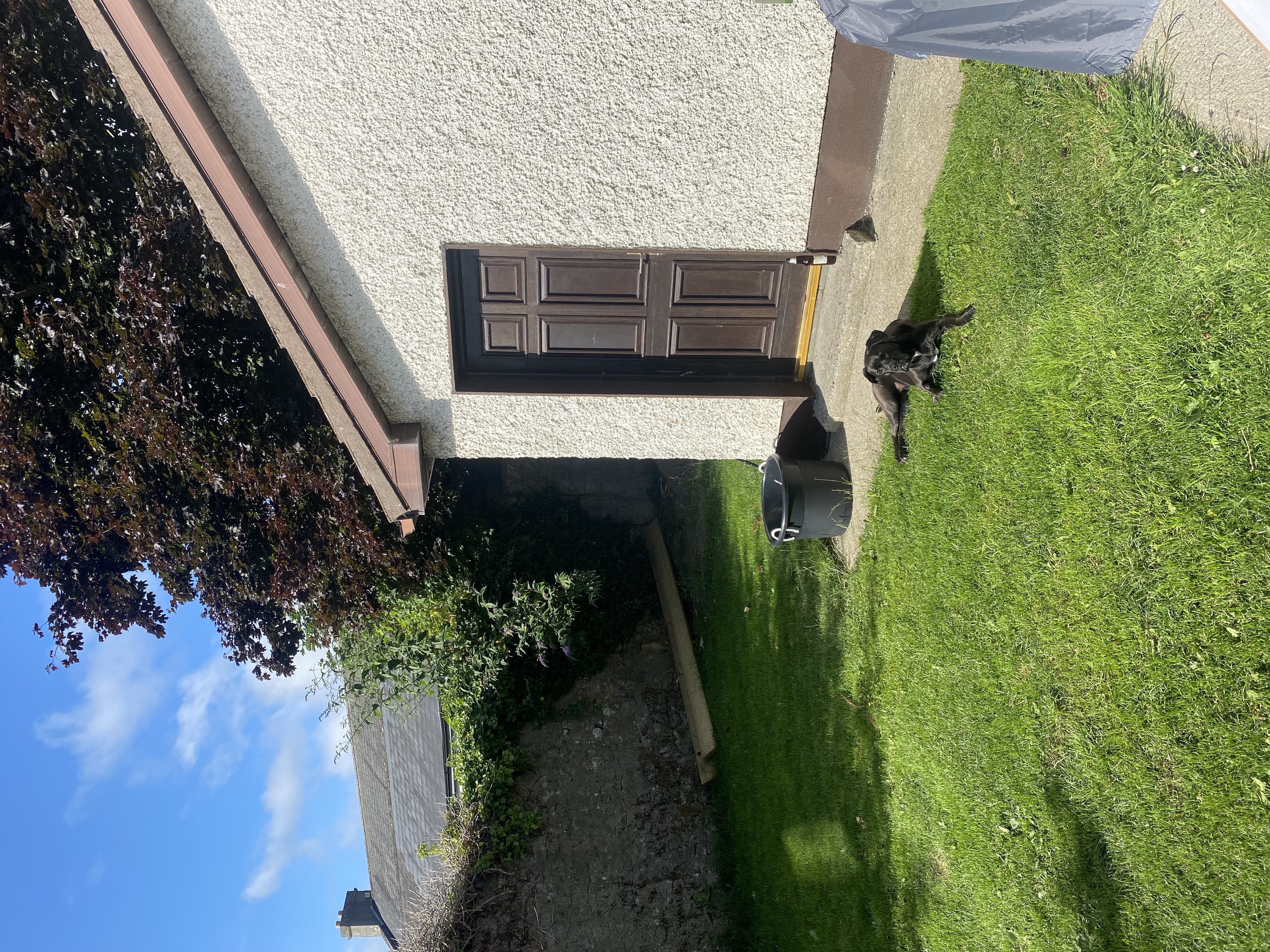 image-26