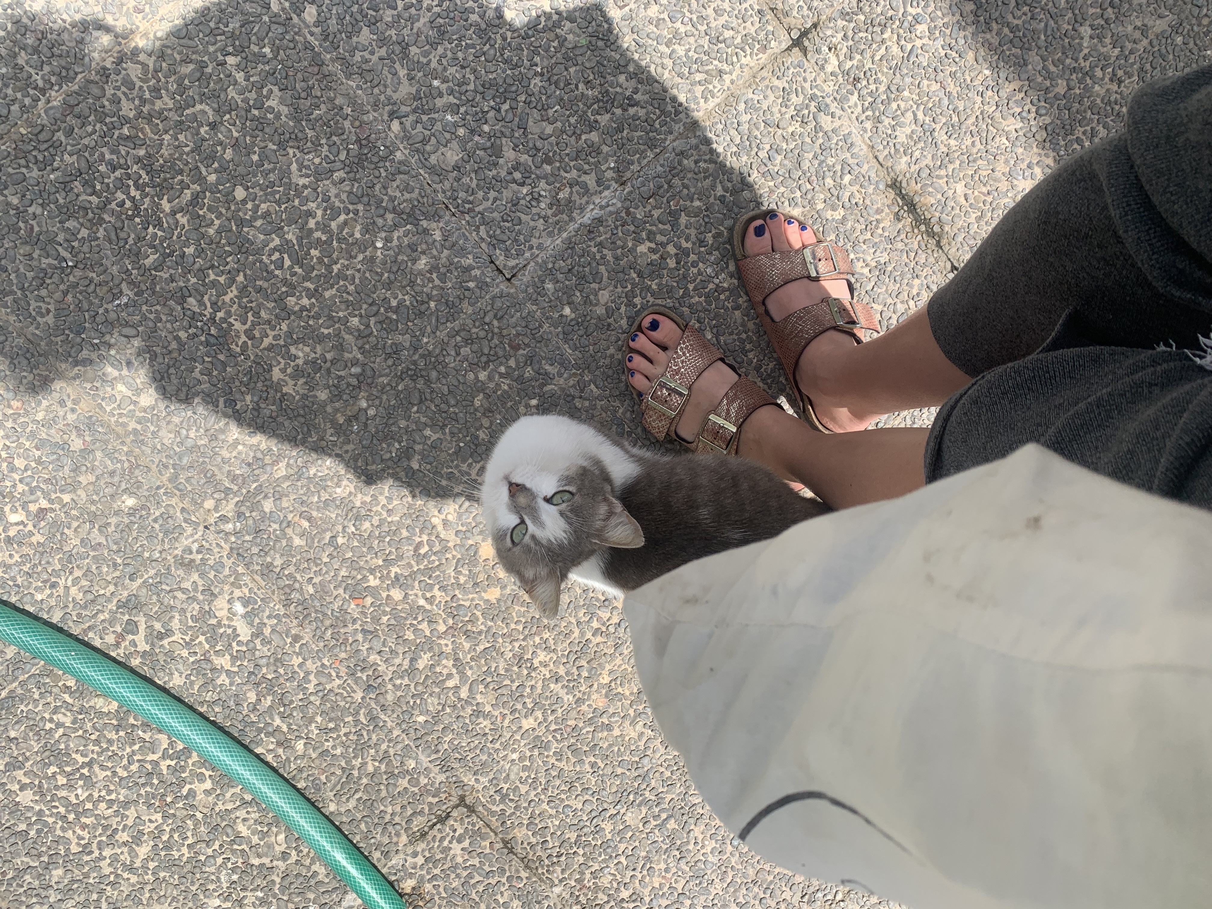 image-9