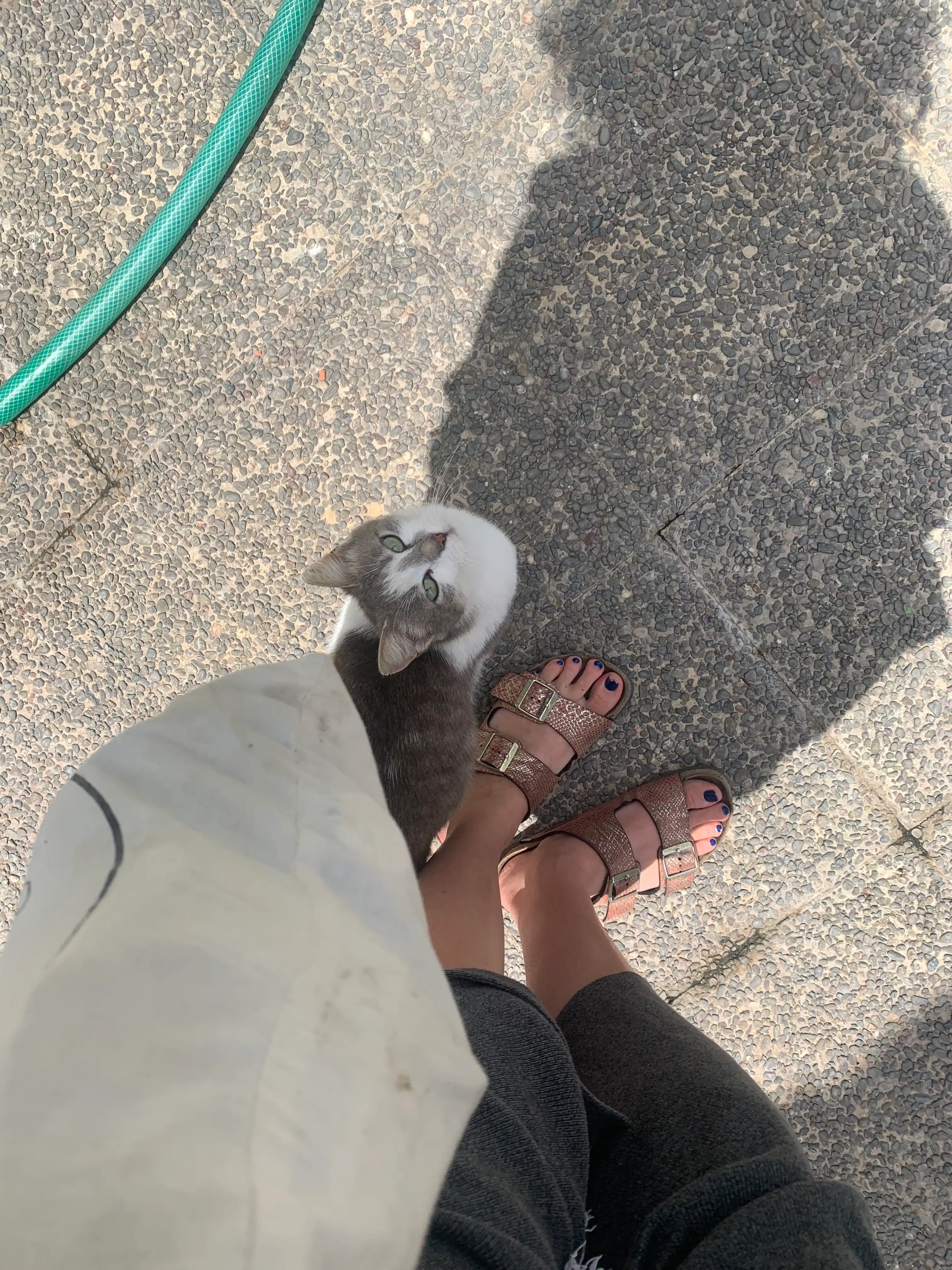image-9