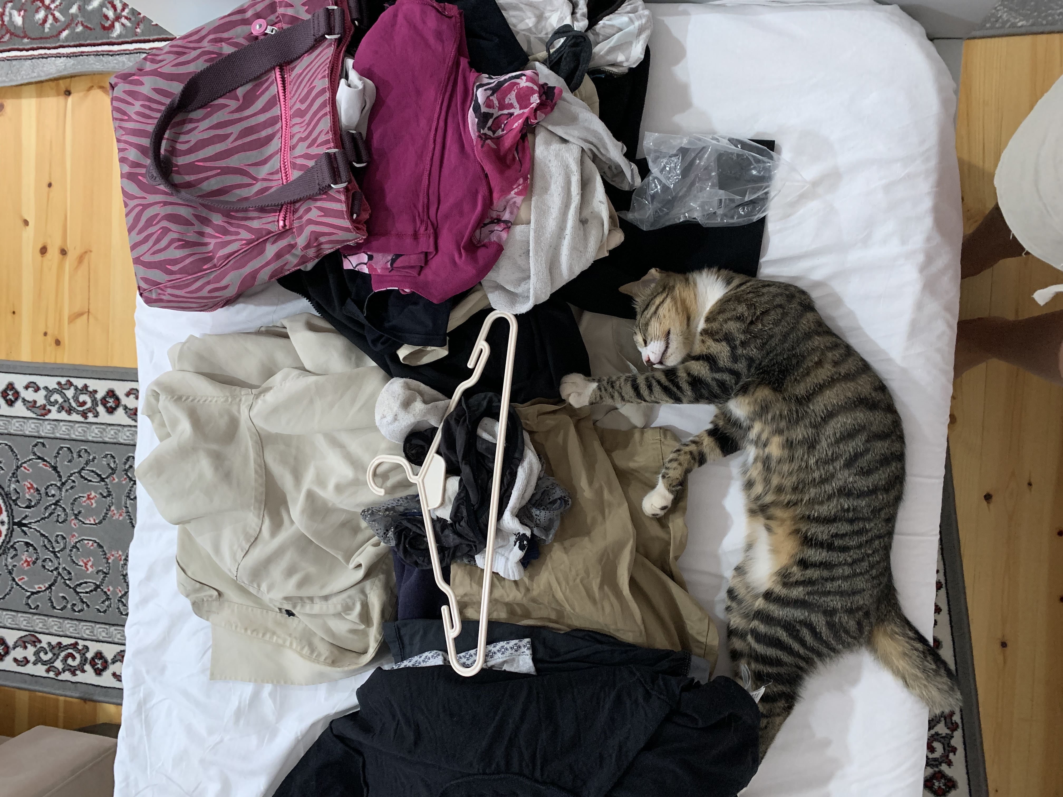 image-5