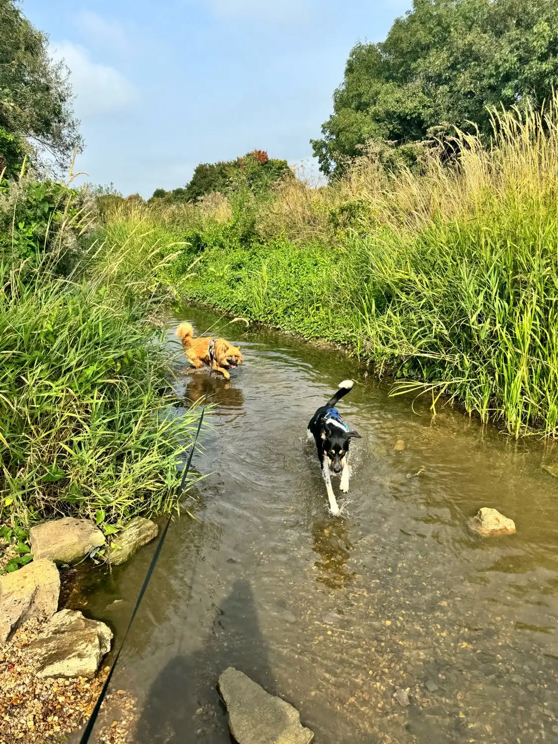 image-10