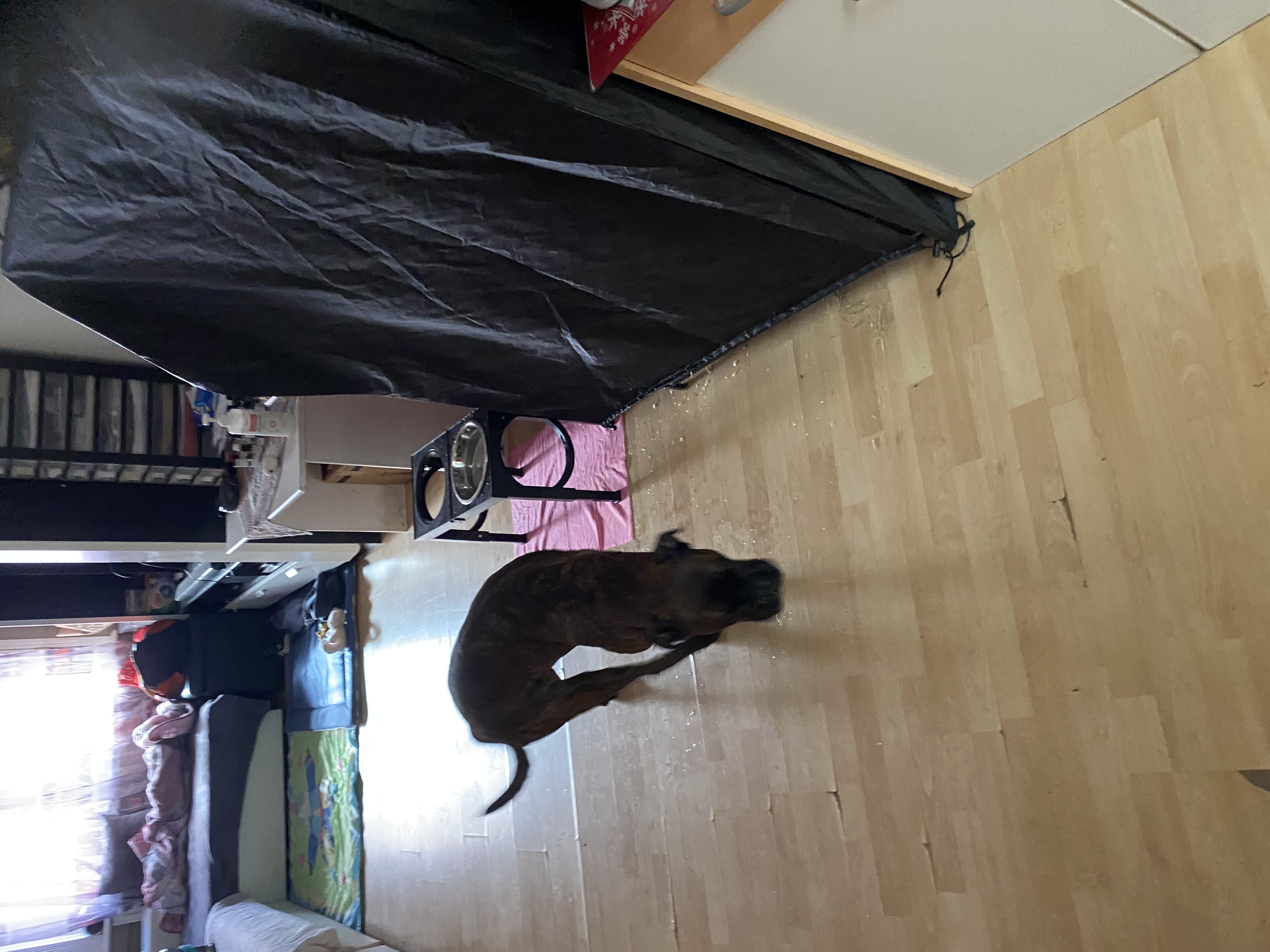 image-7