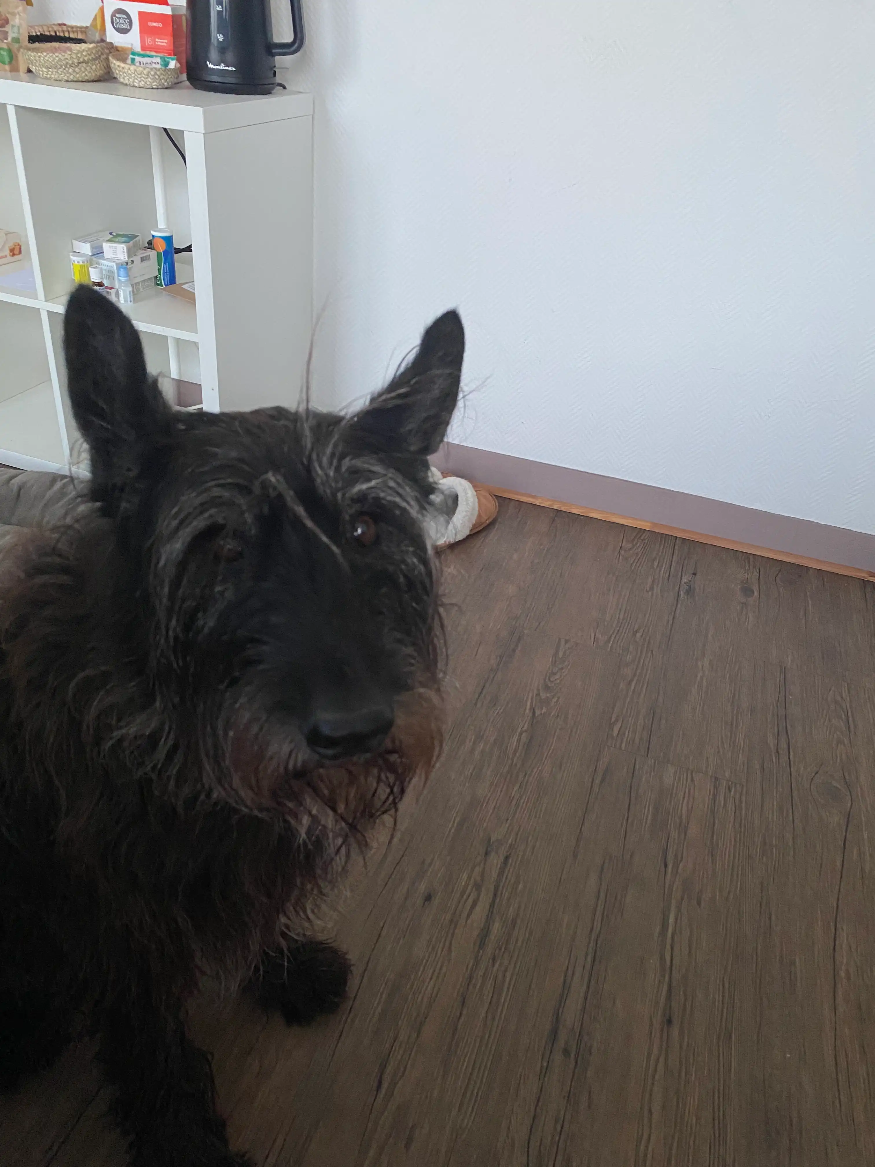 image-5