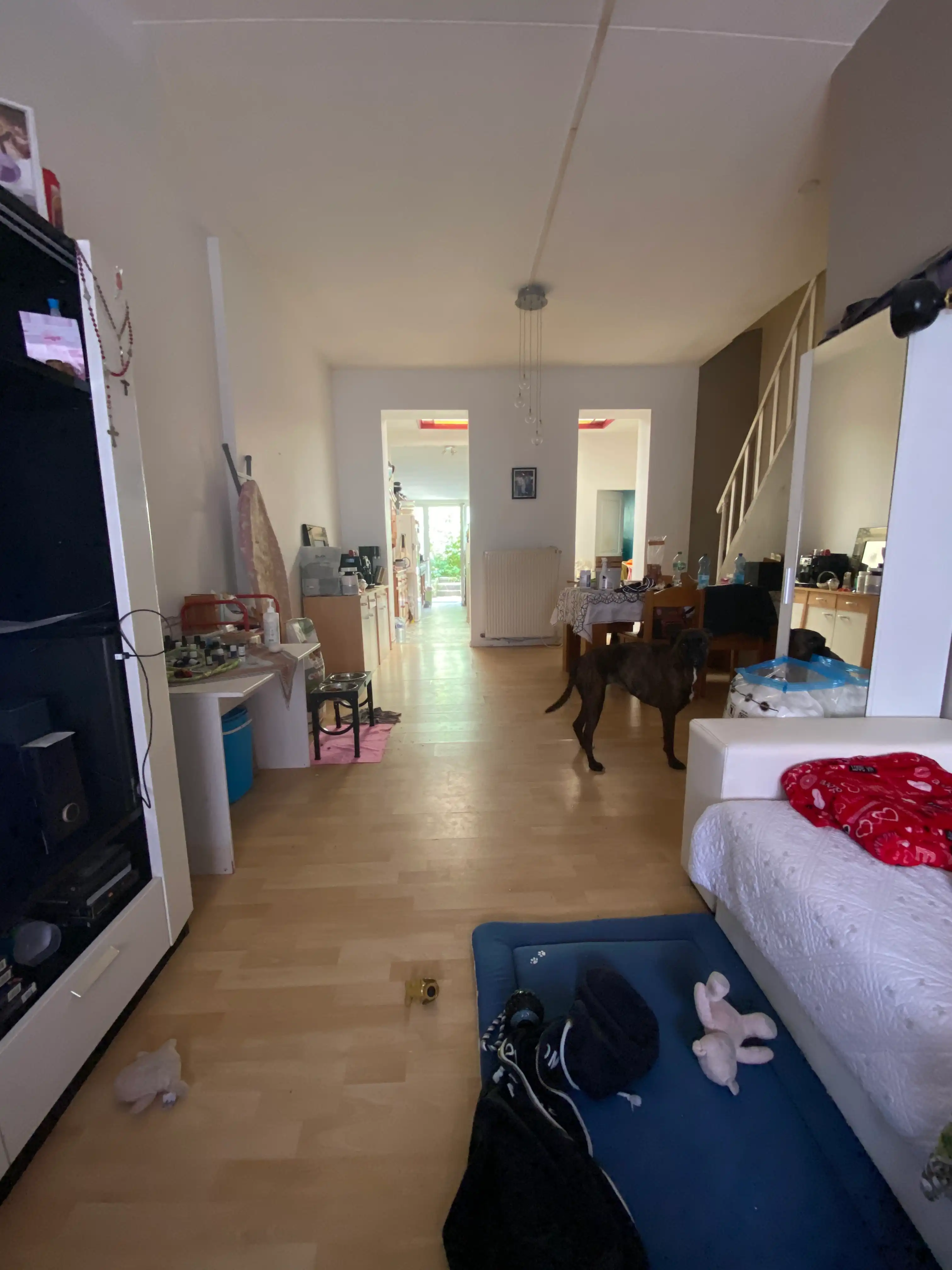 image-9