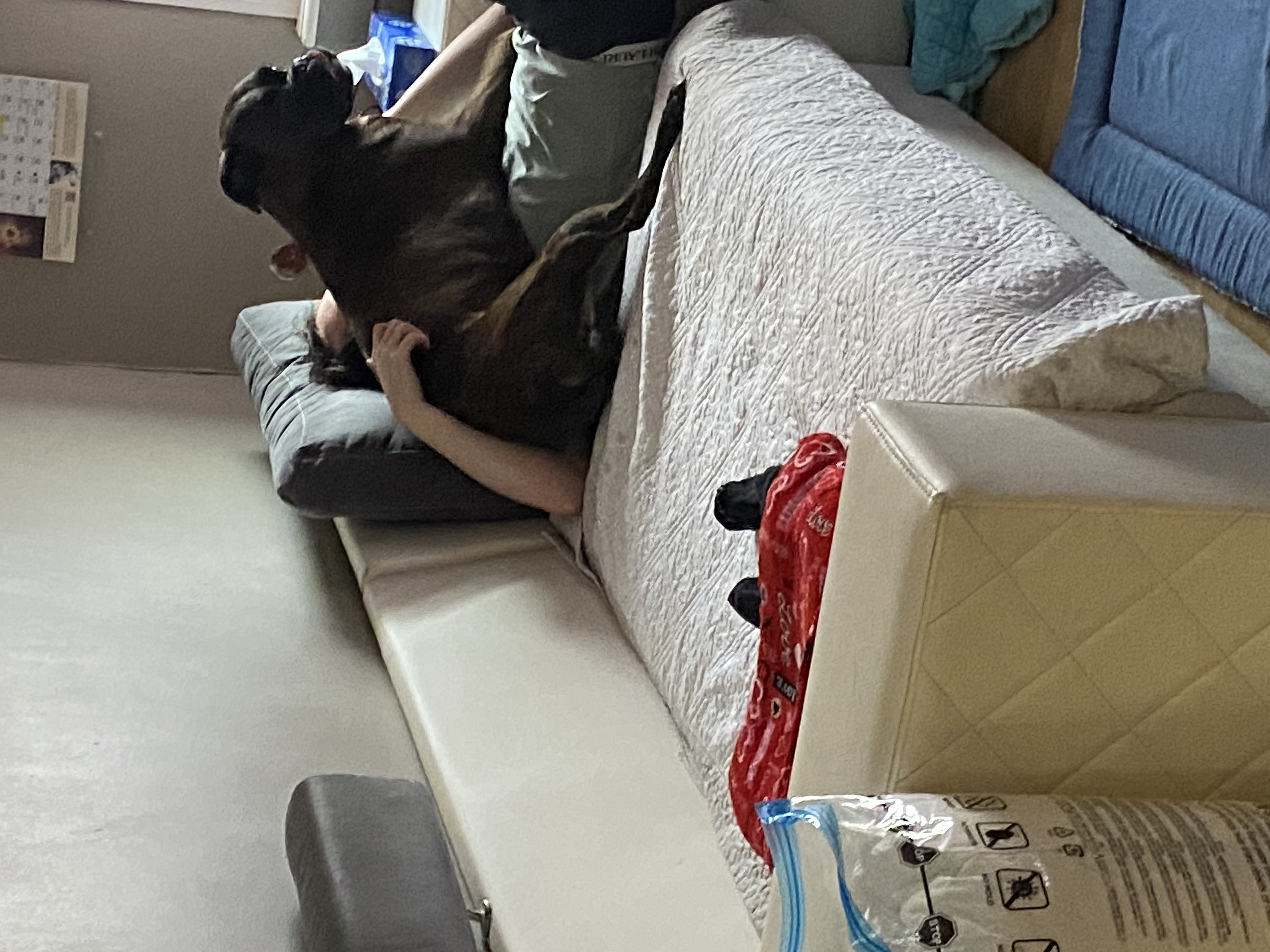 image-3