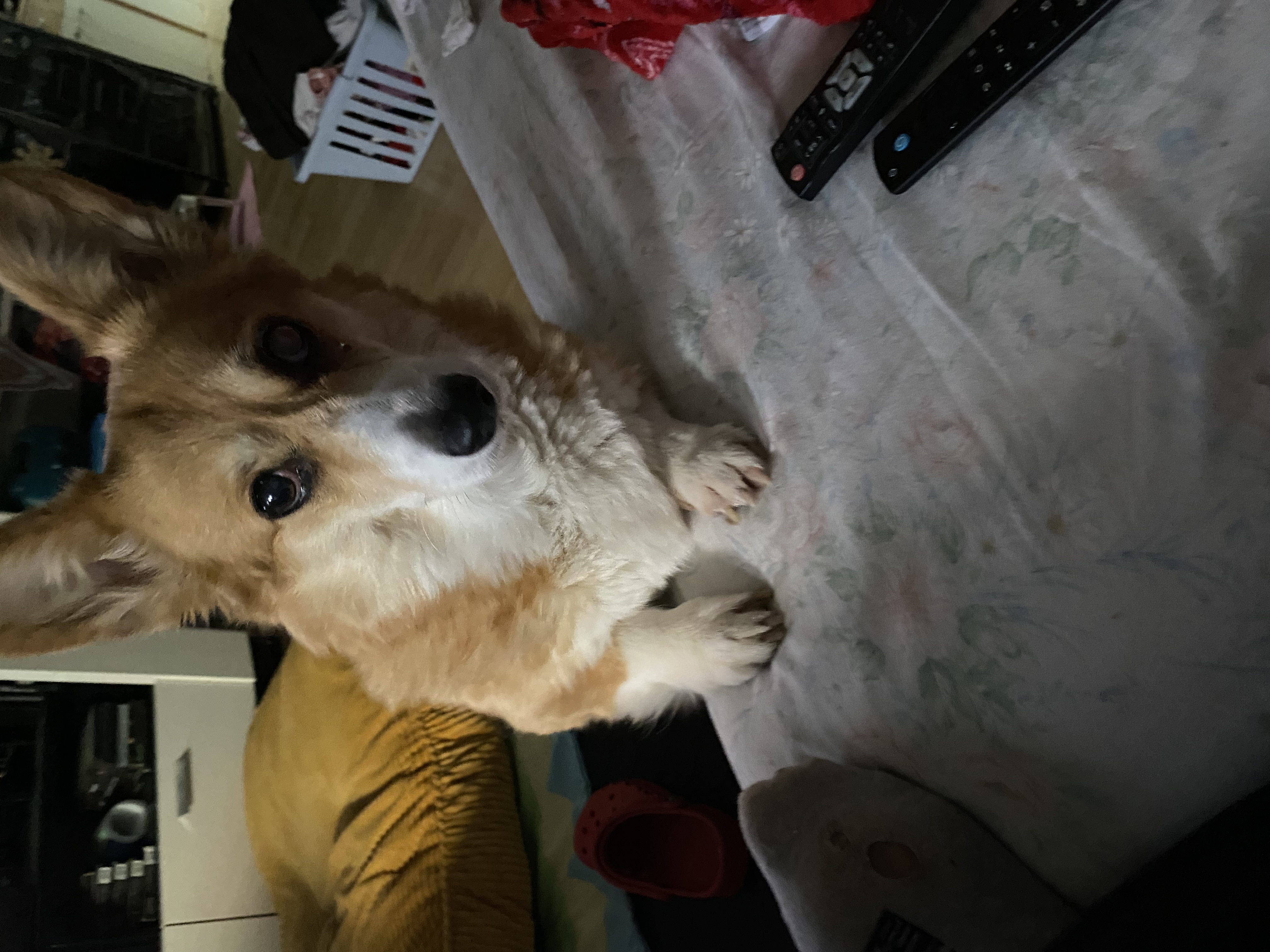 image-6