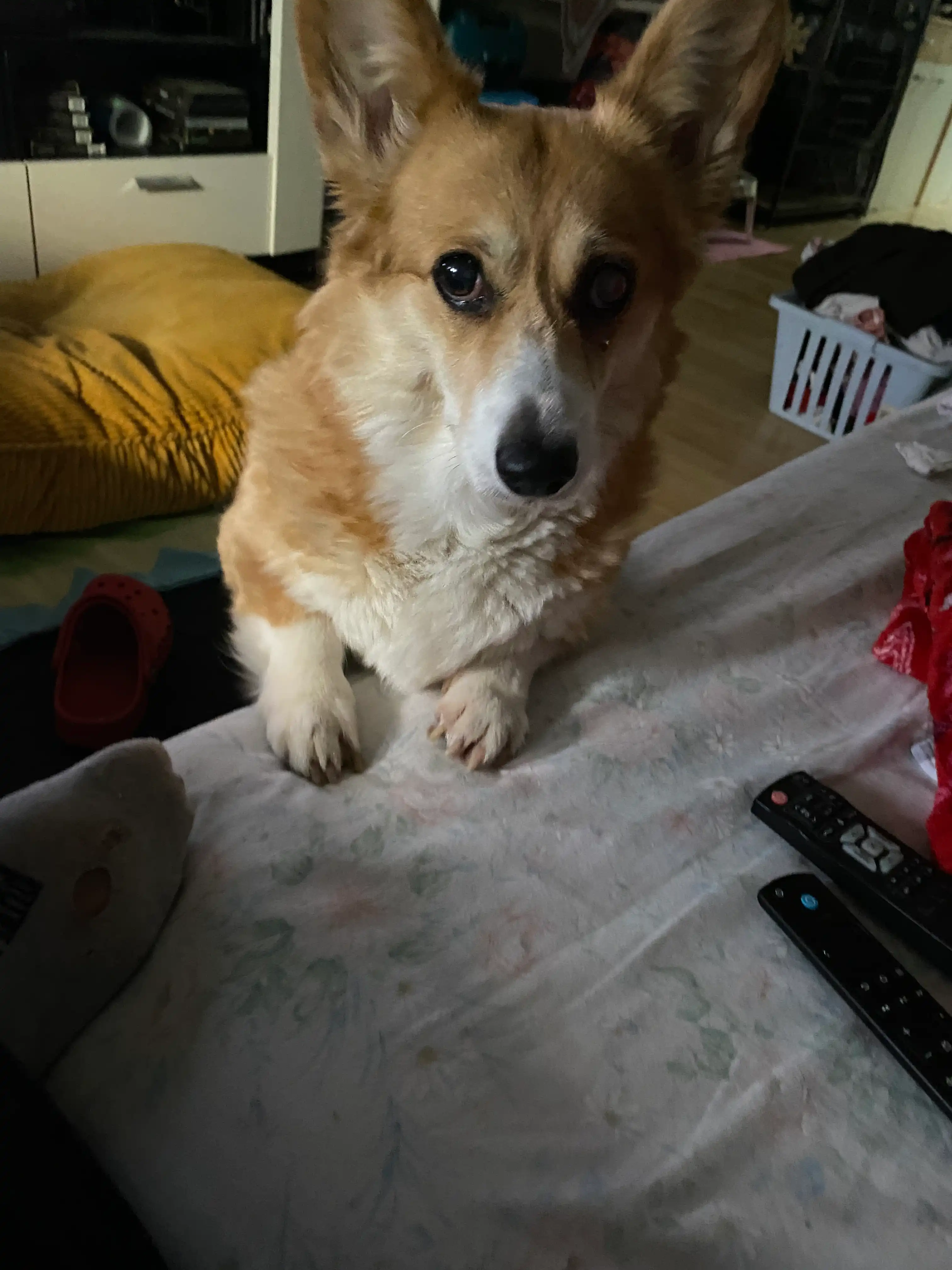 image-6