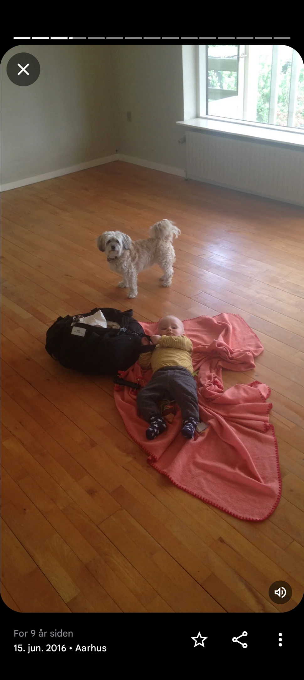 image-8