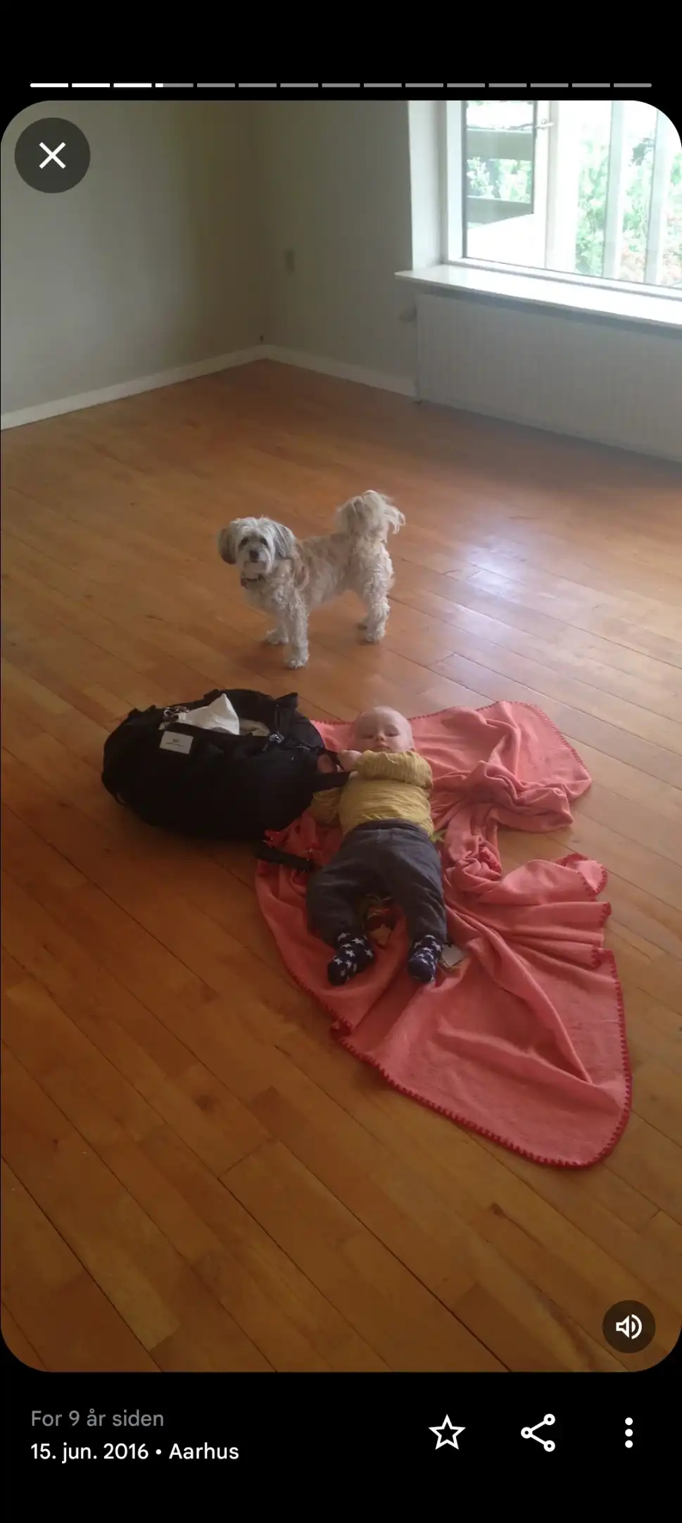 image-8