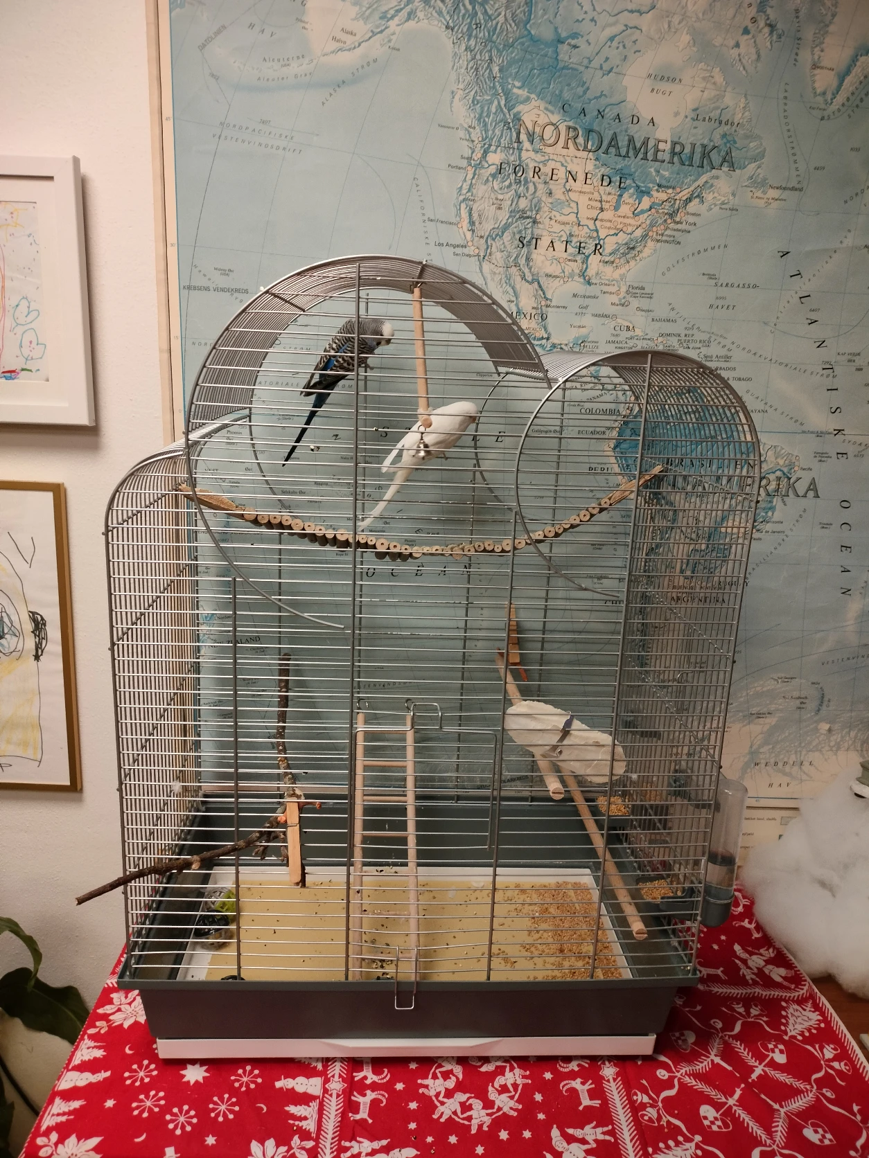 image-3