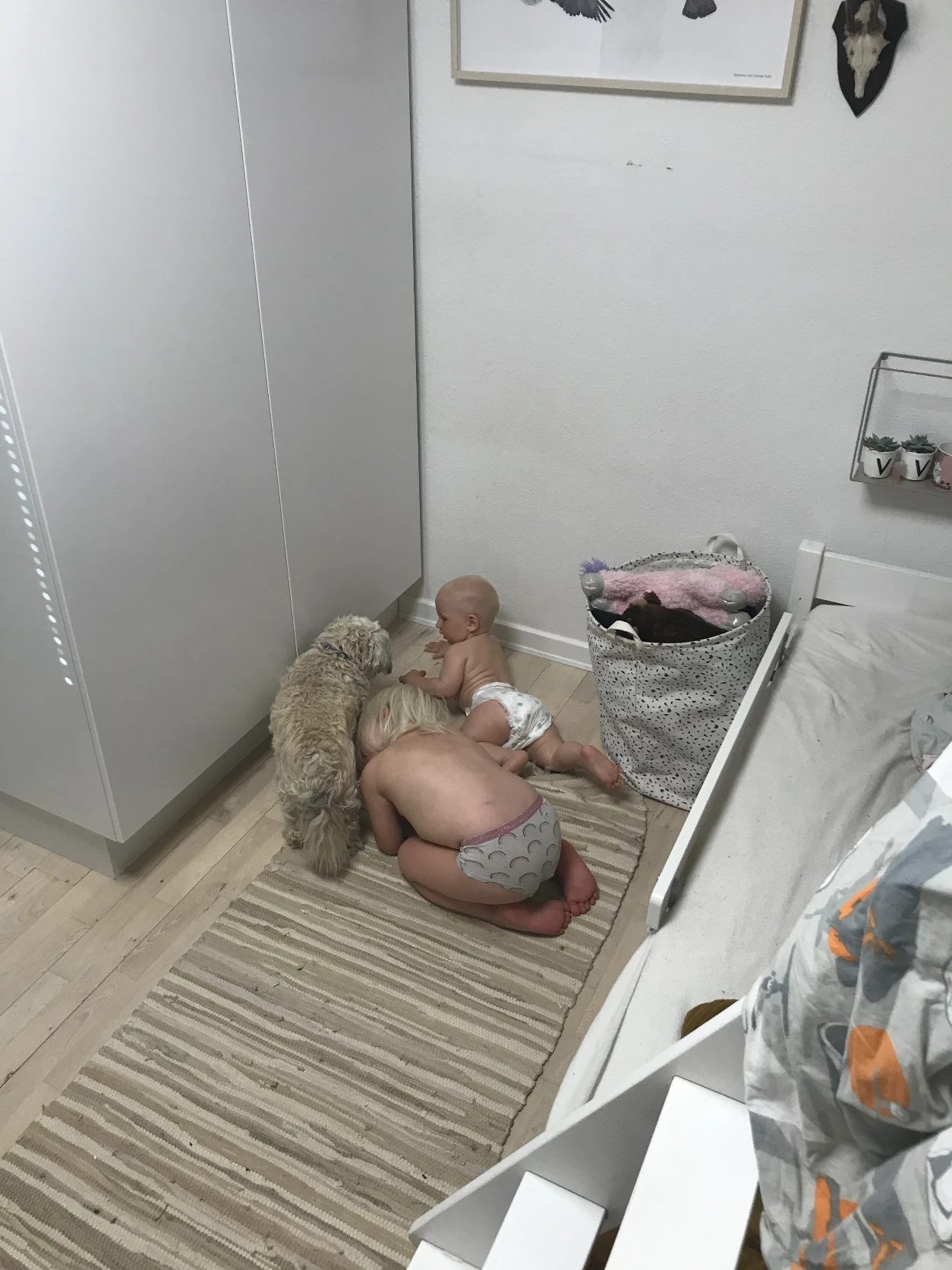 image-4
