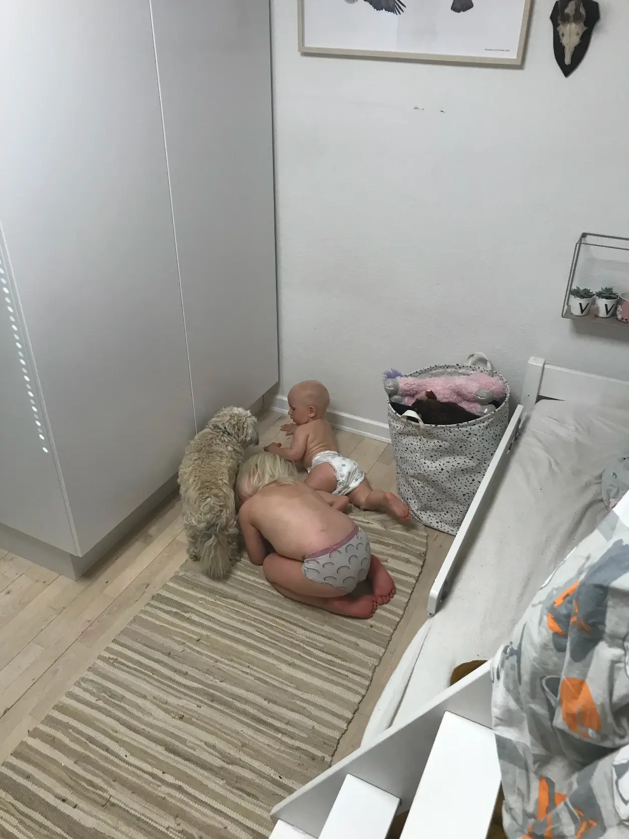 image-4