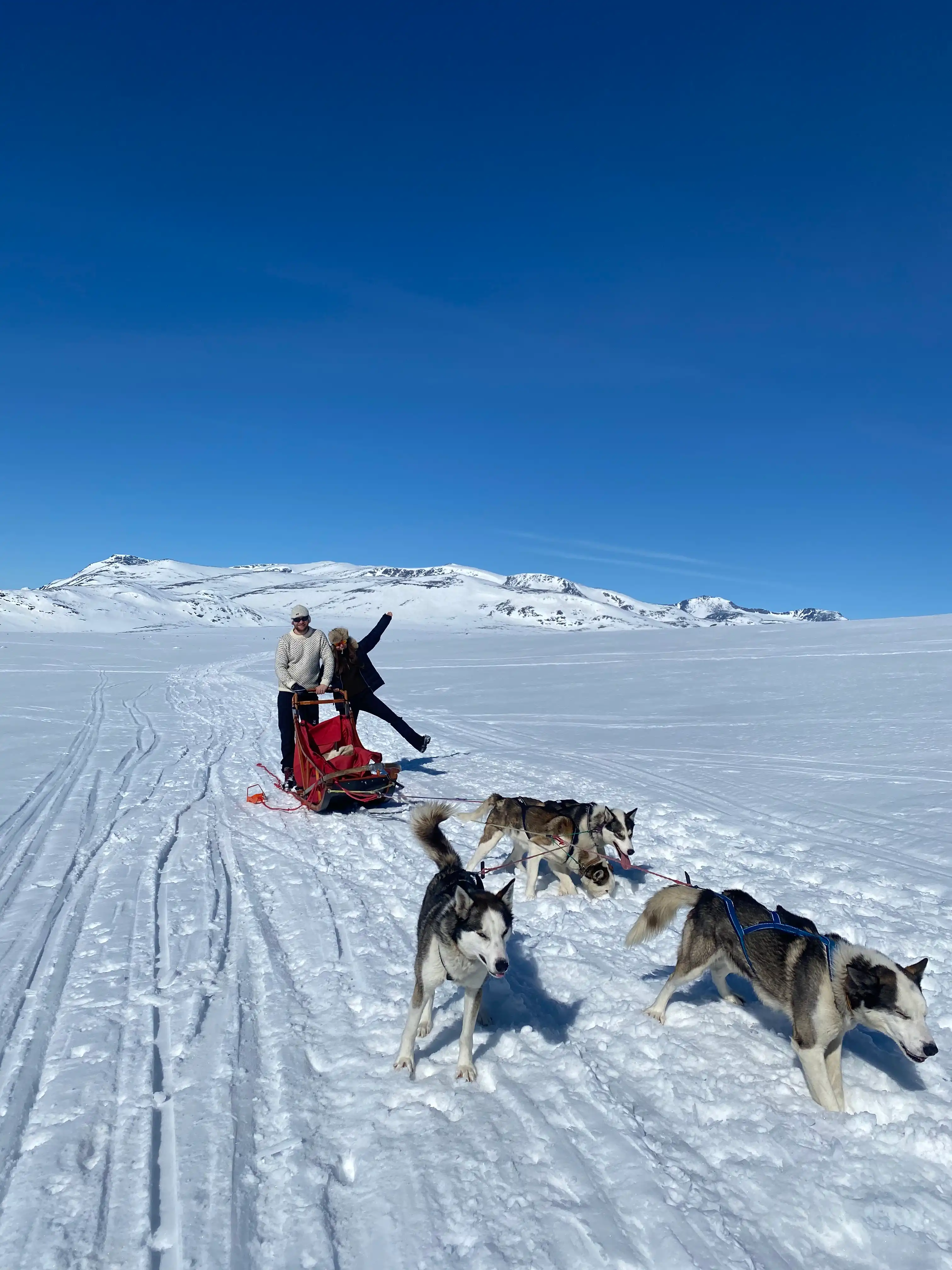 image-7