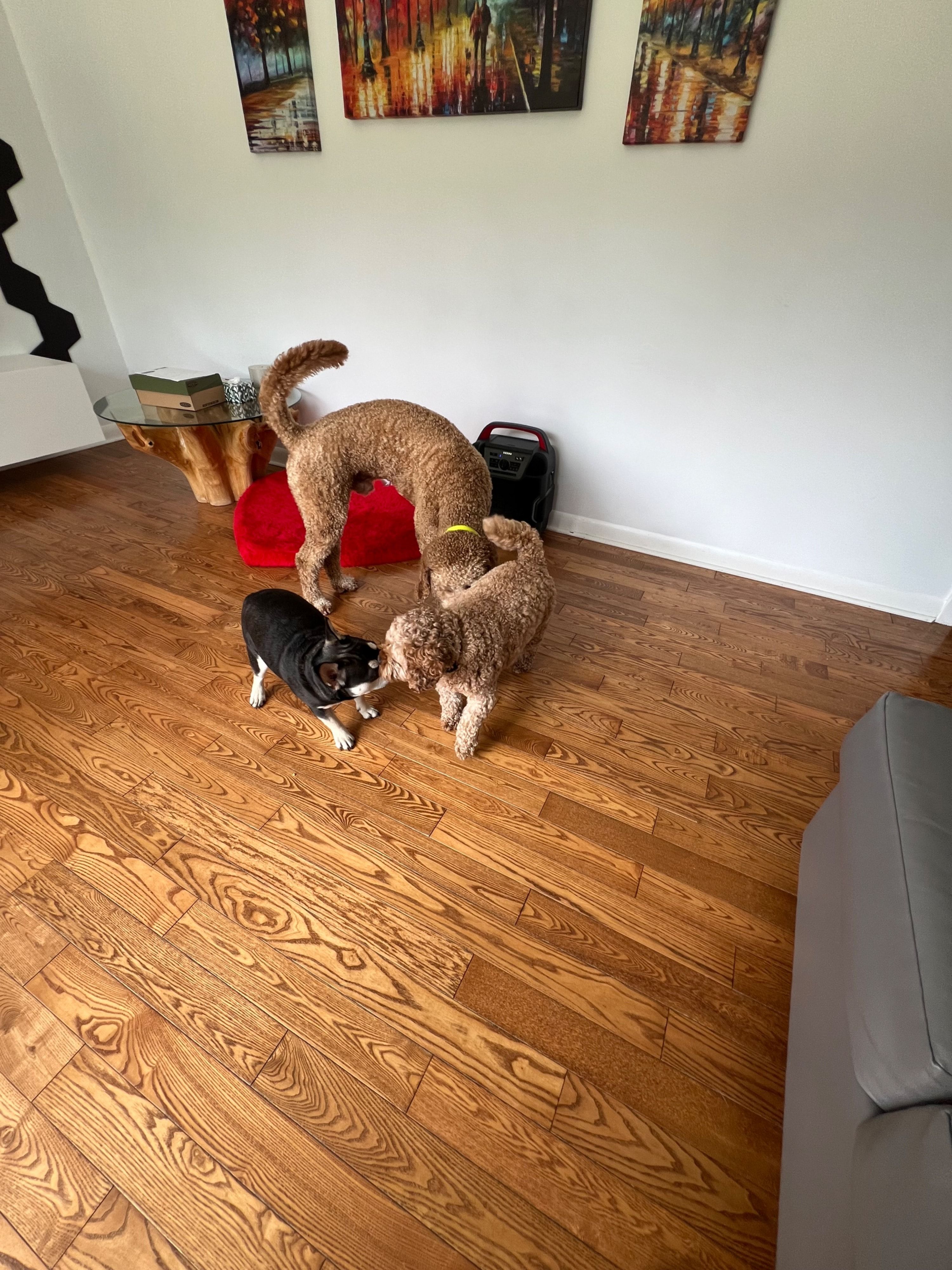 image-7