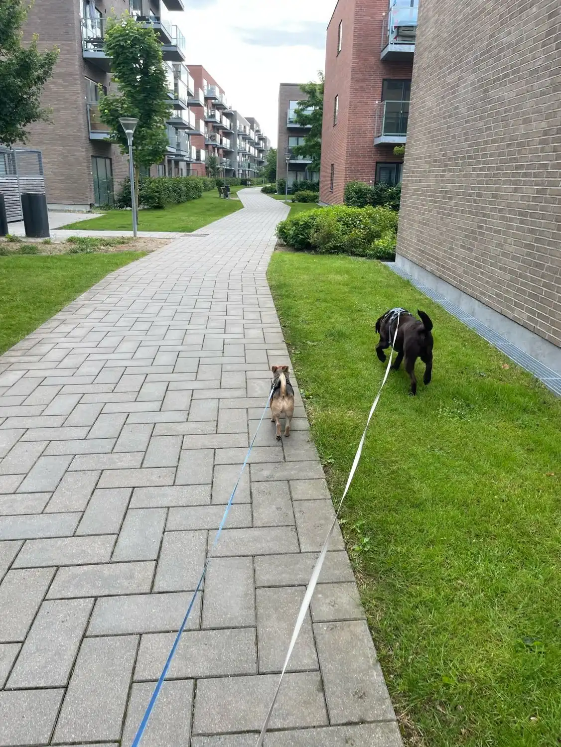 image-20