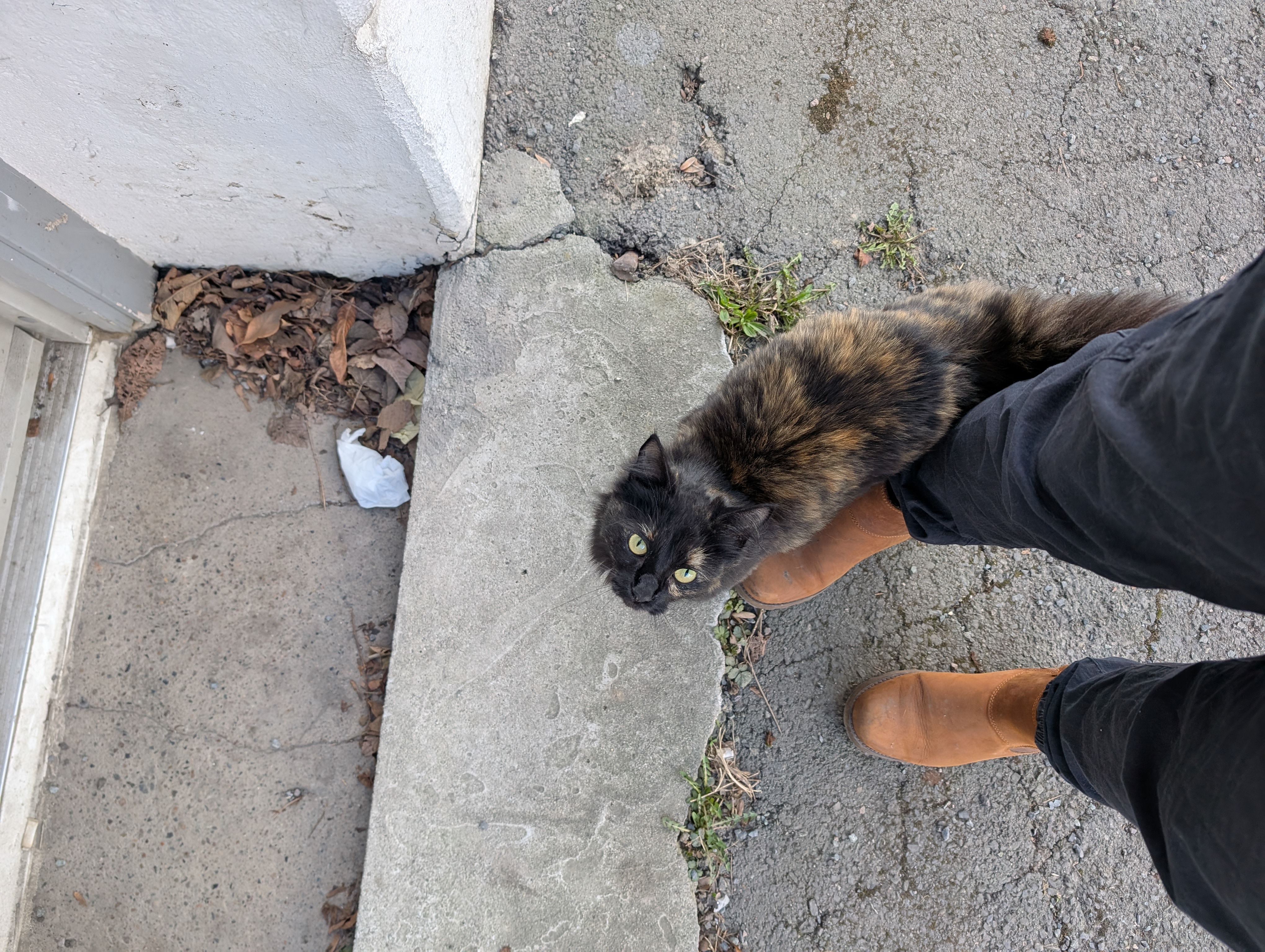 image-11