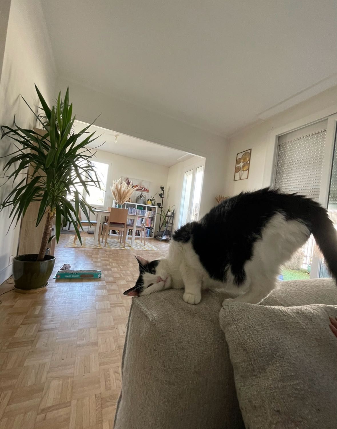 image-13