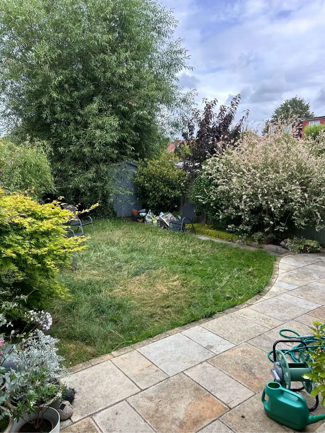 image-5