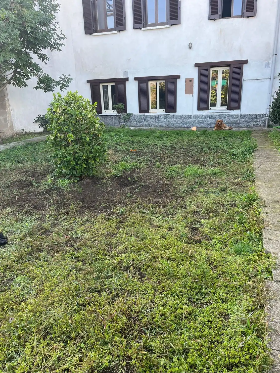 image-6