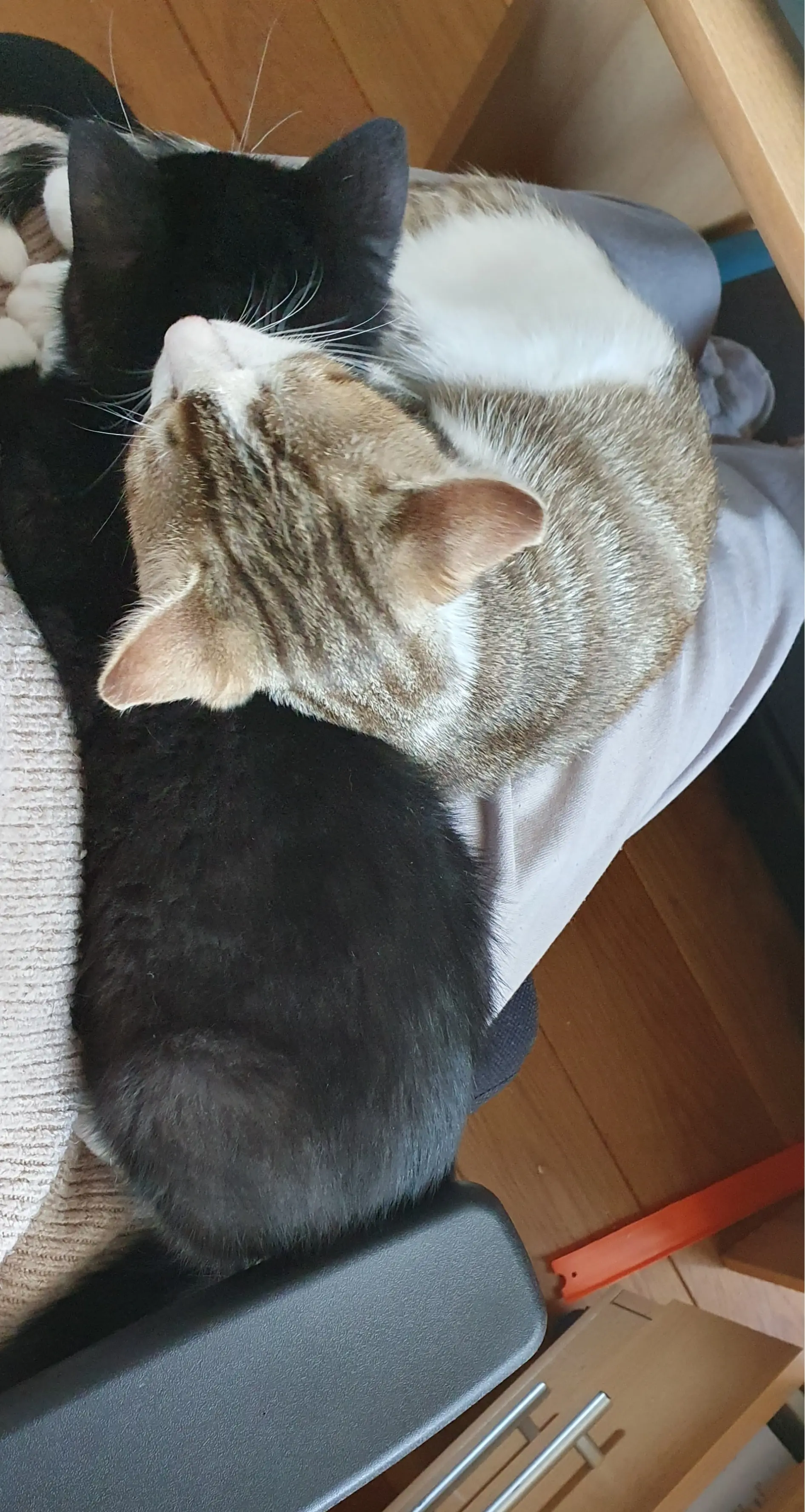 image-3