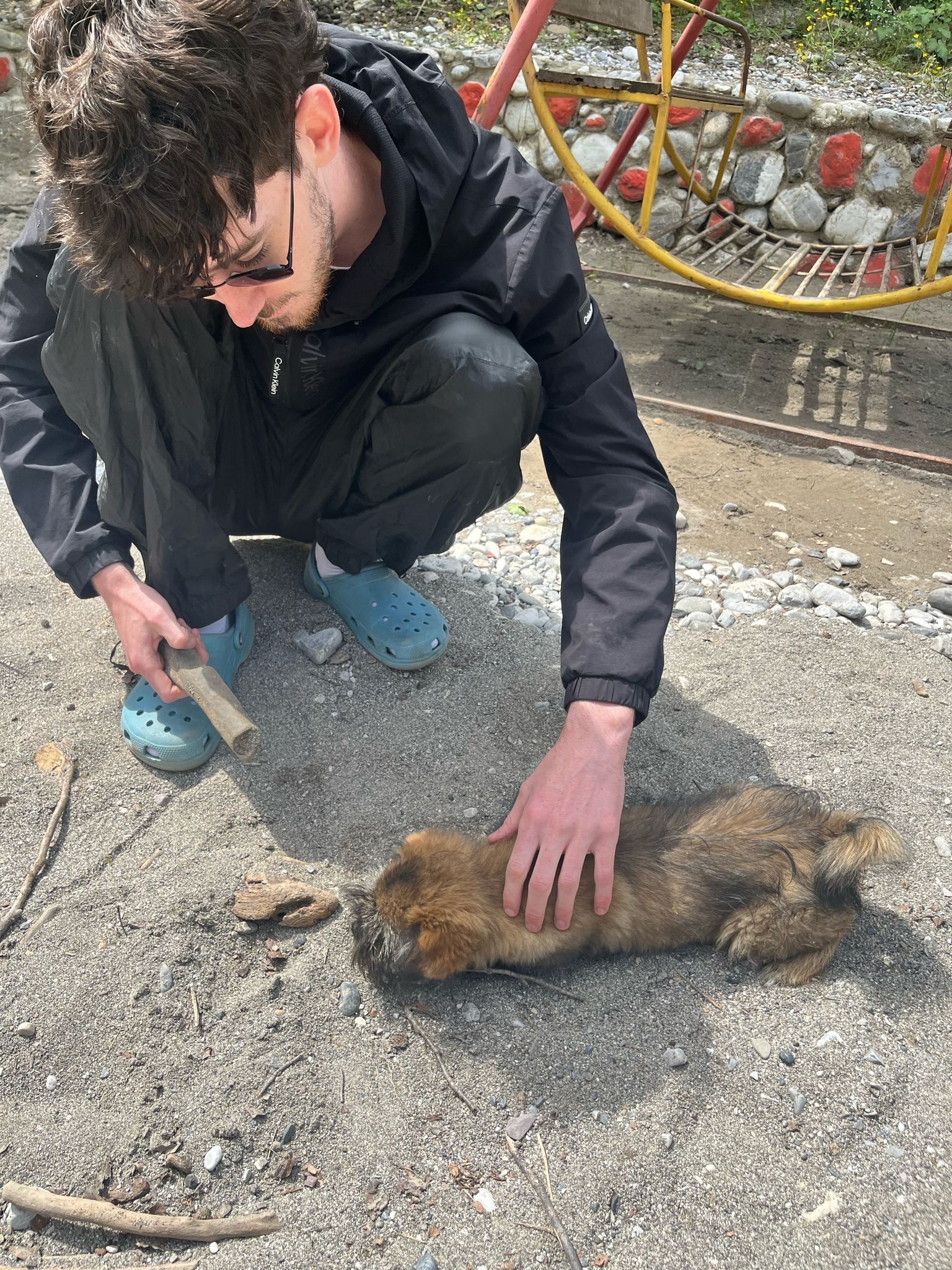 image-12