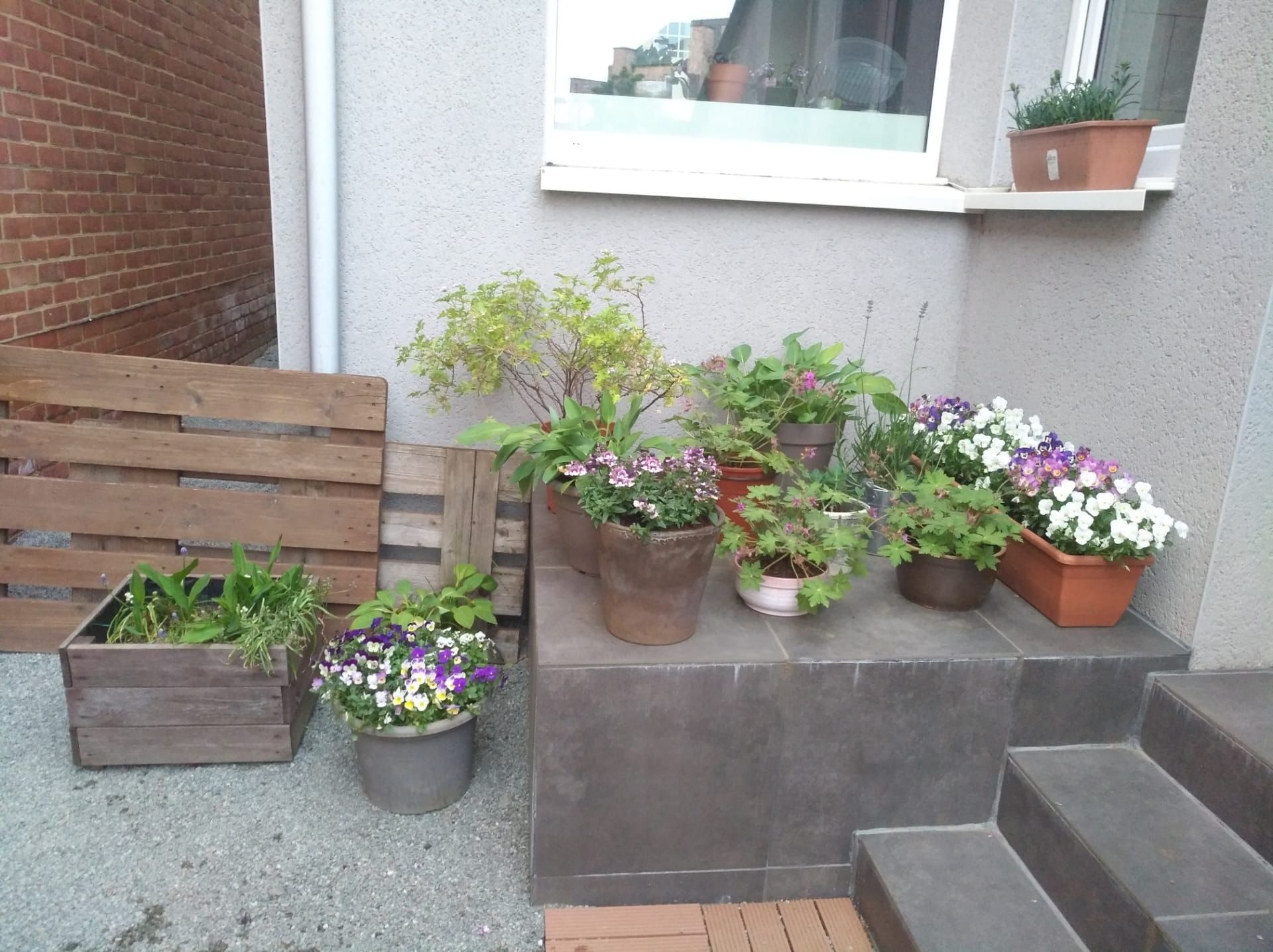 image-2