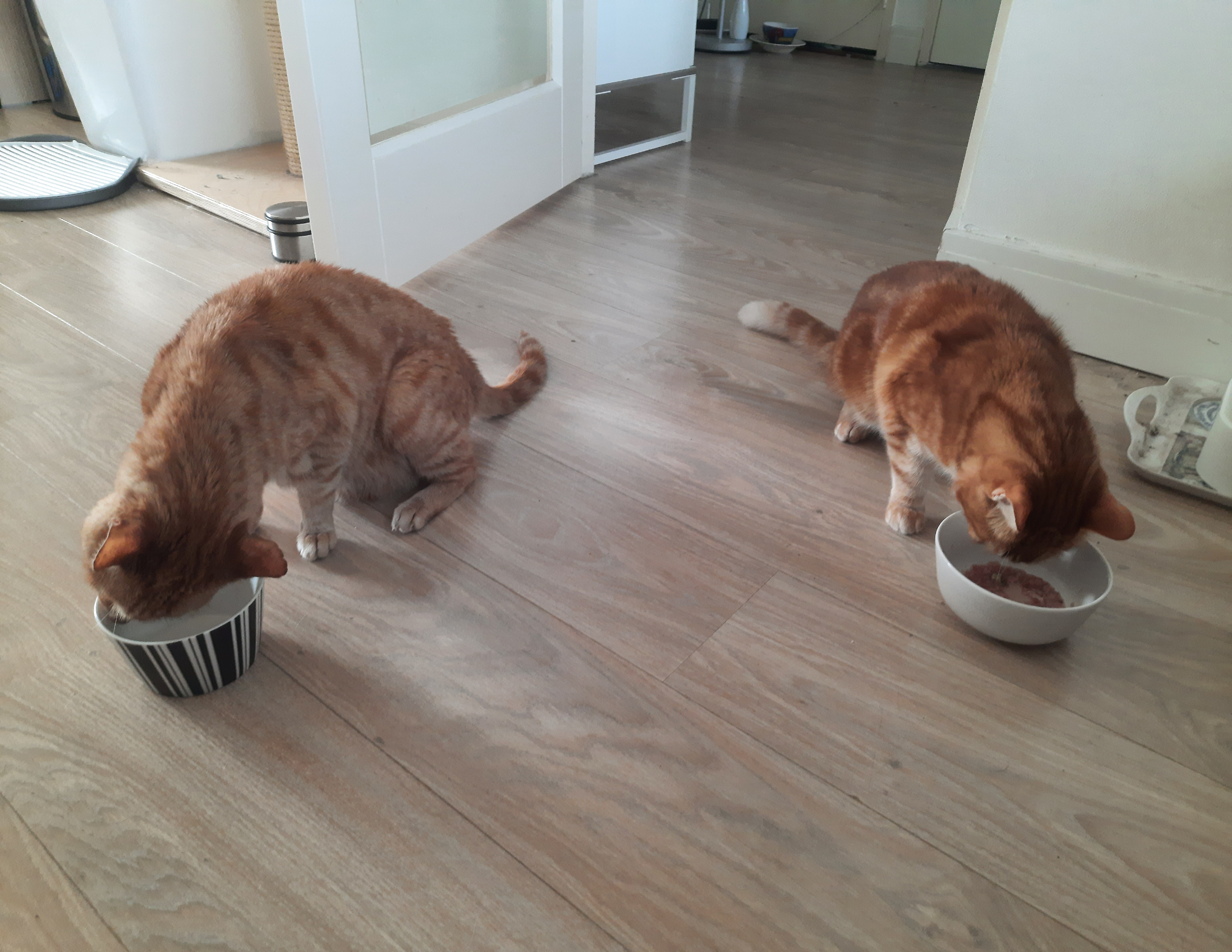 image-5