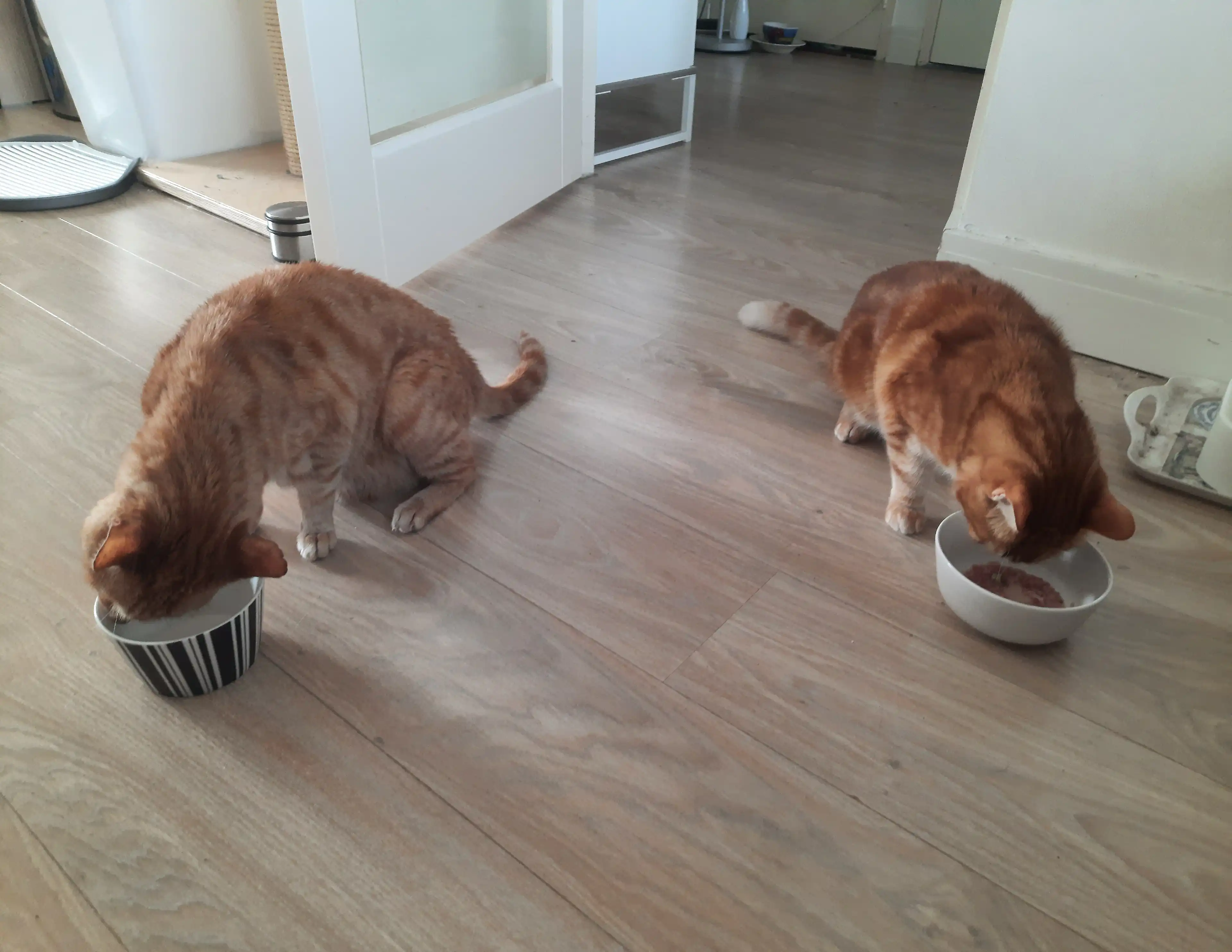 image-5