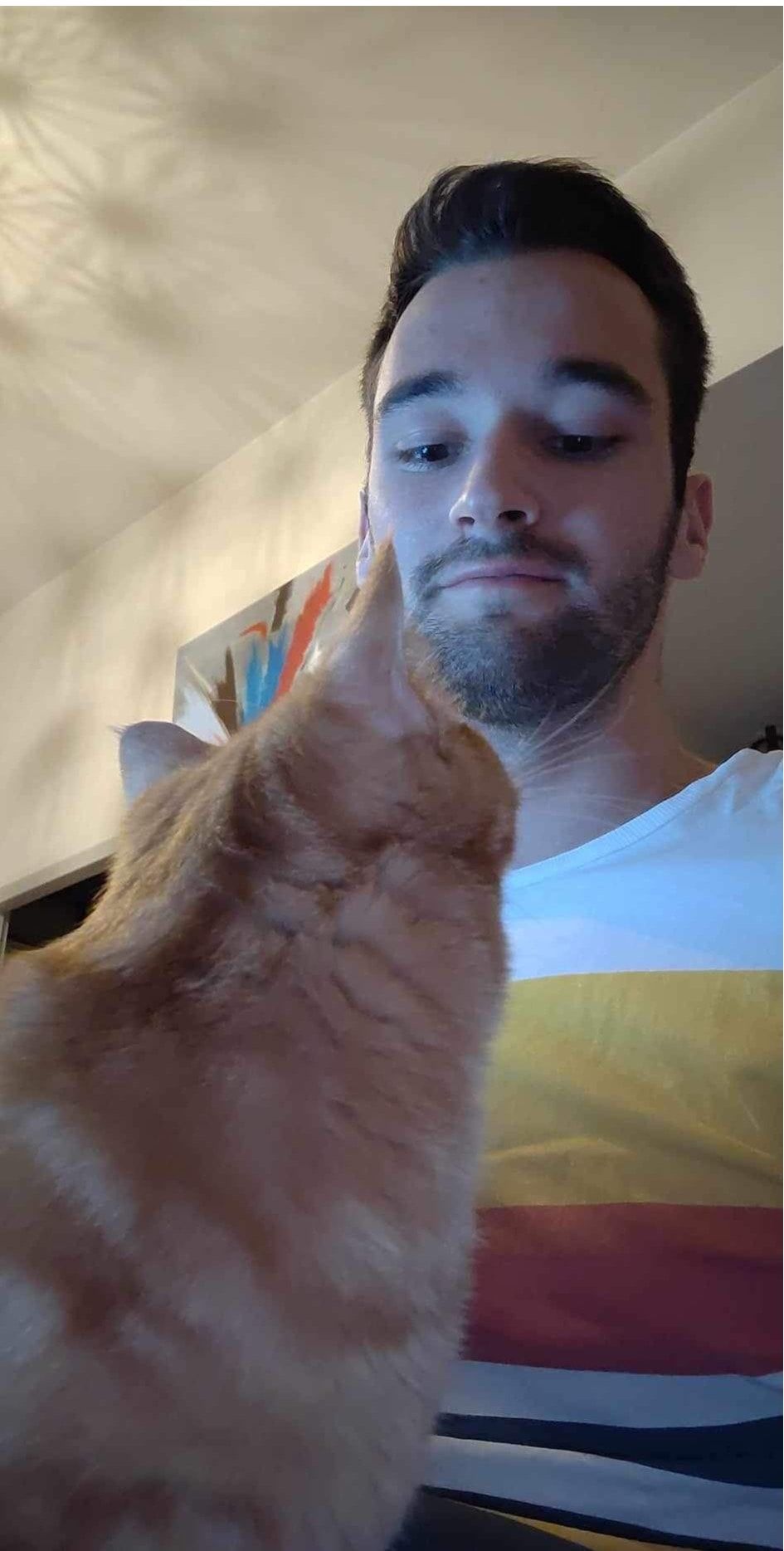 image-6