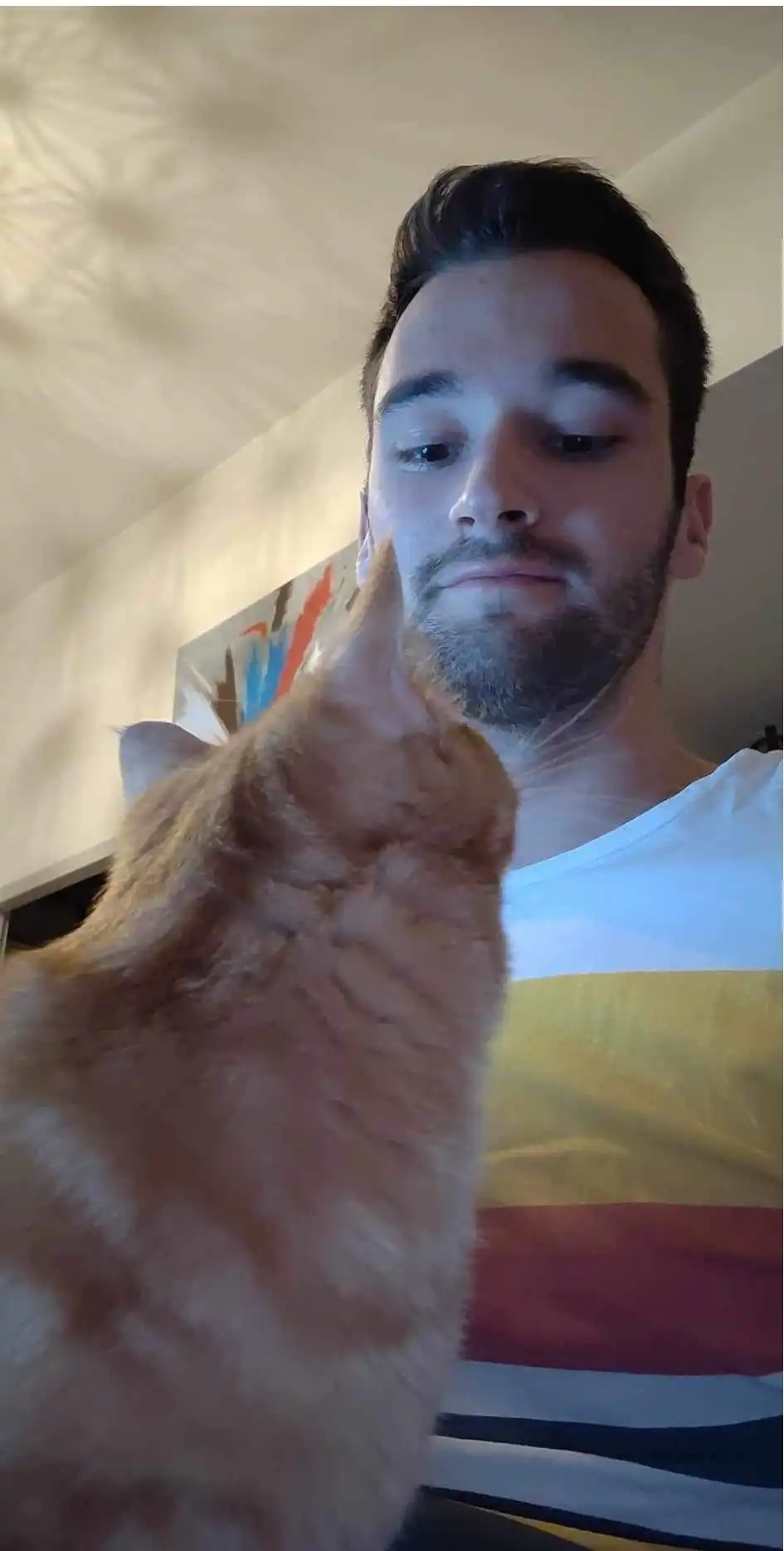 image-6